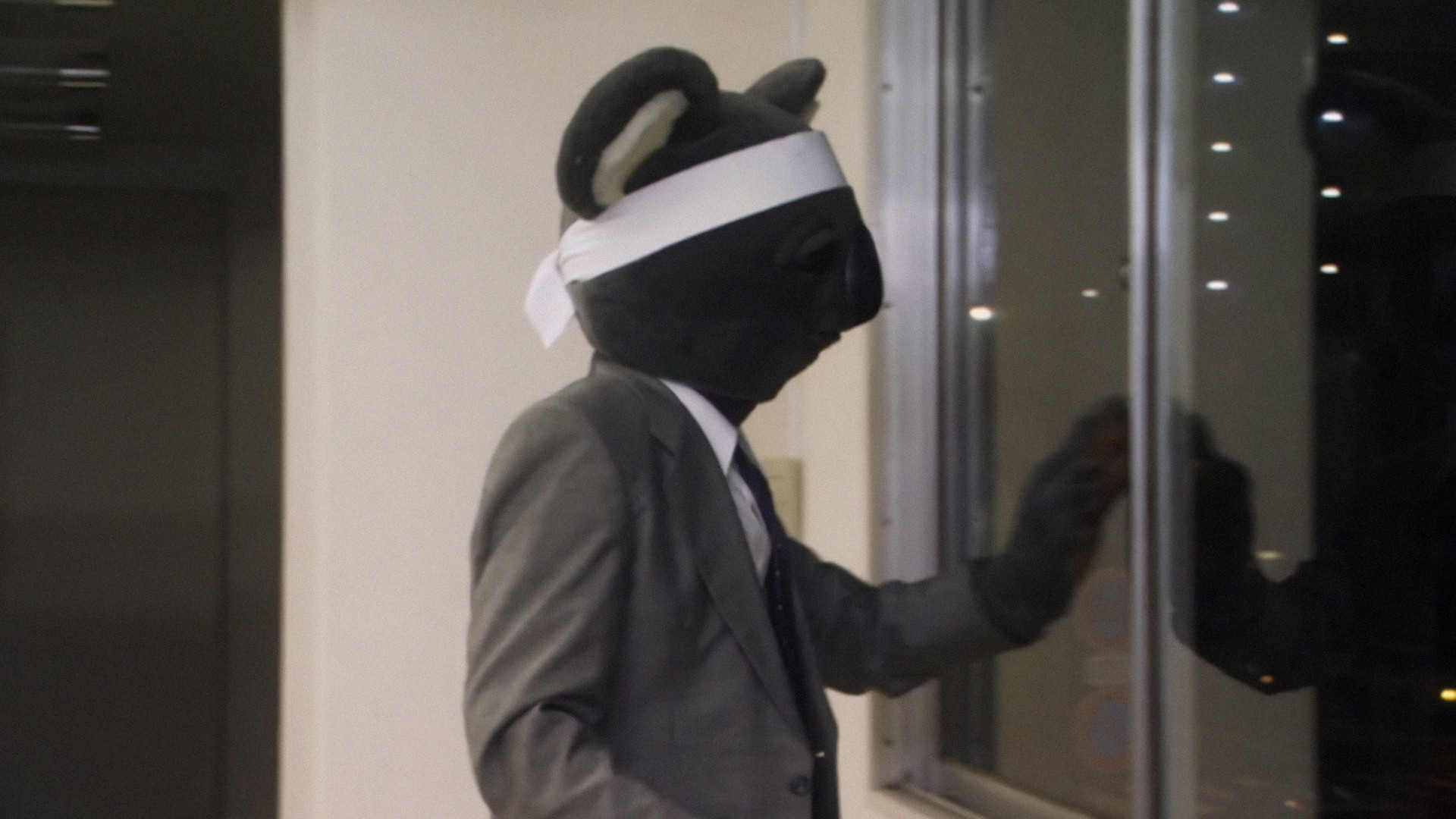 Executive Koala Background