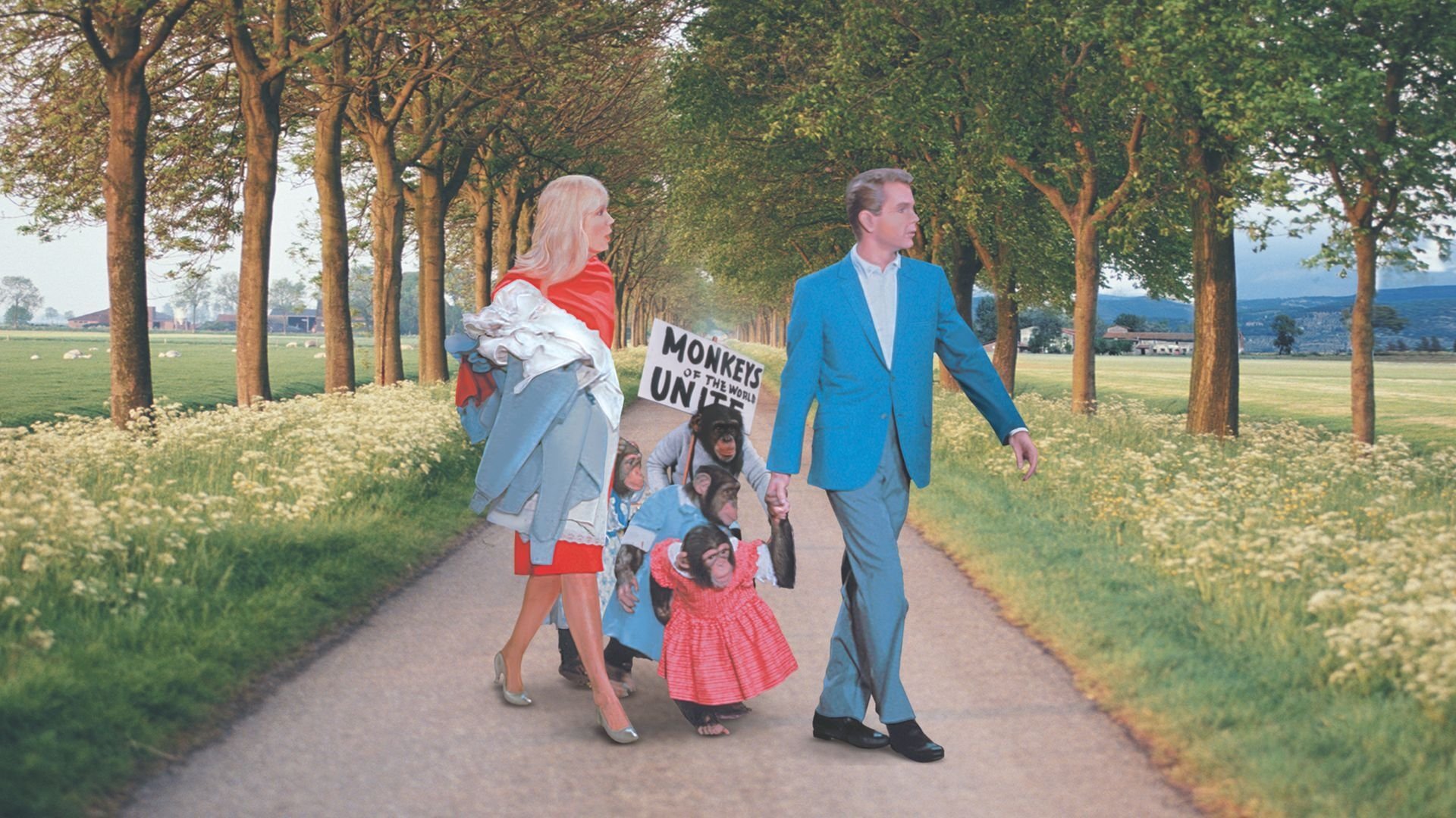 Monkeys, Go Home! Background