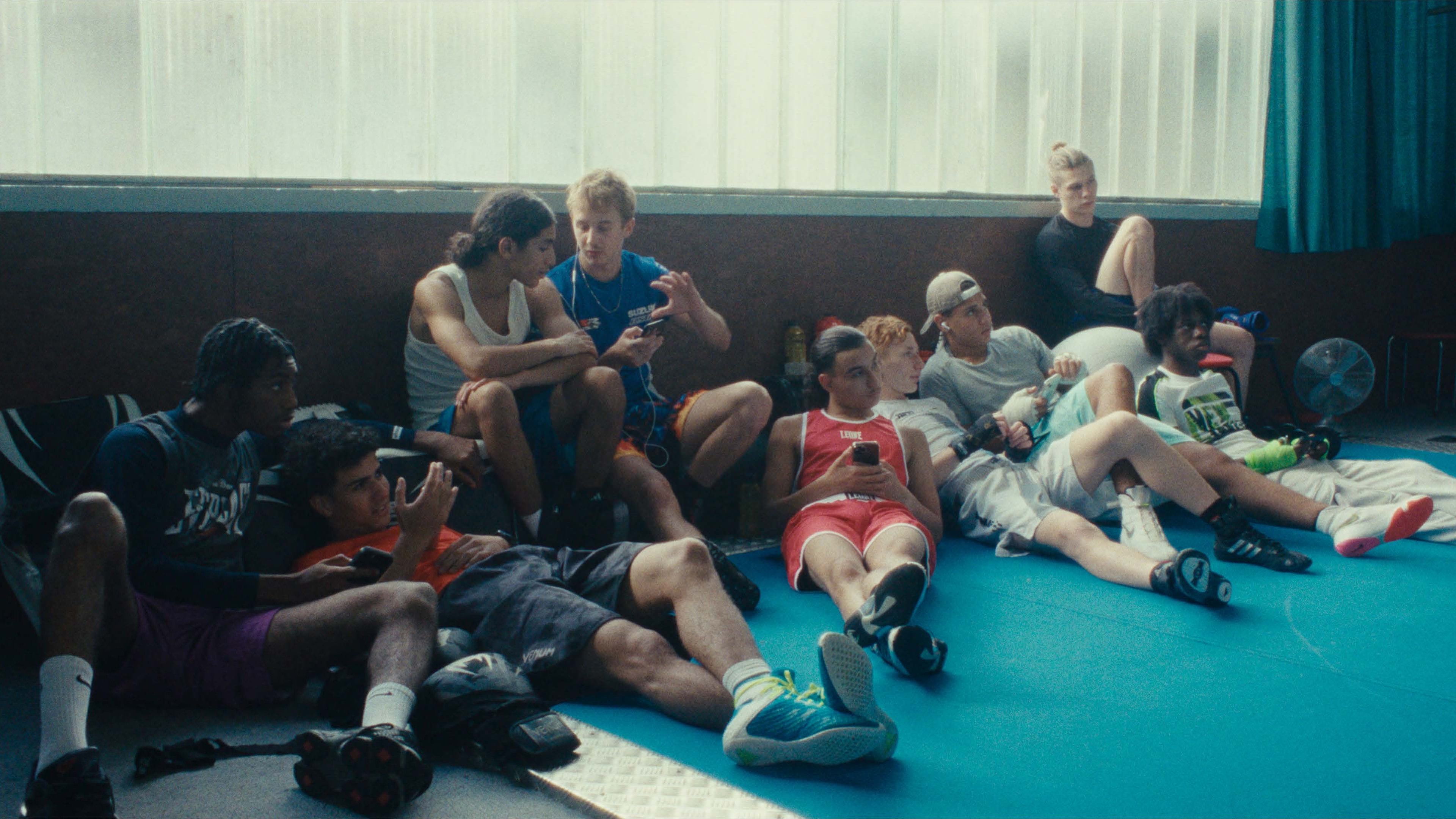 Wild Foxes Background