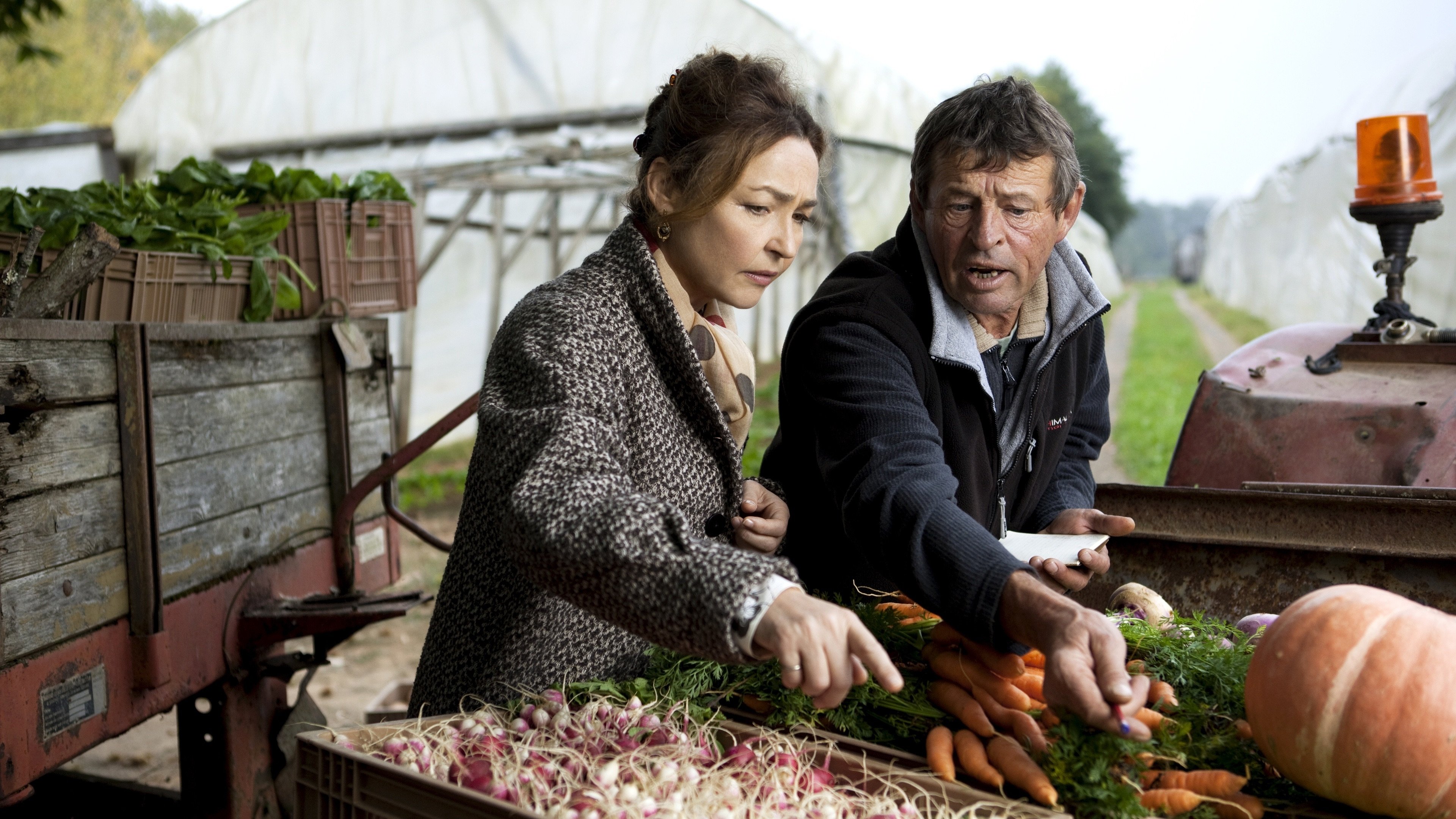 Haute Cuisine Background