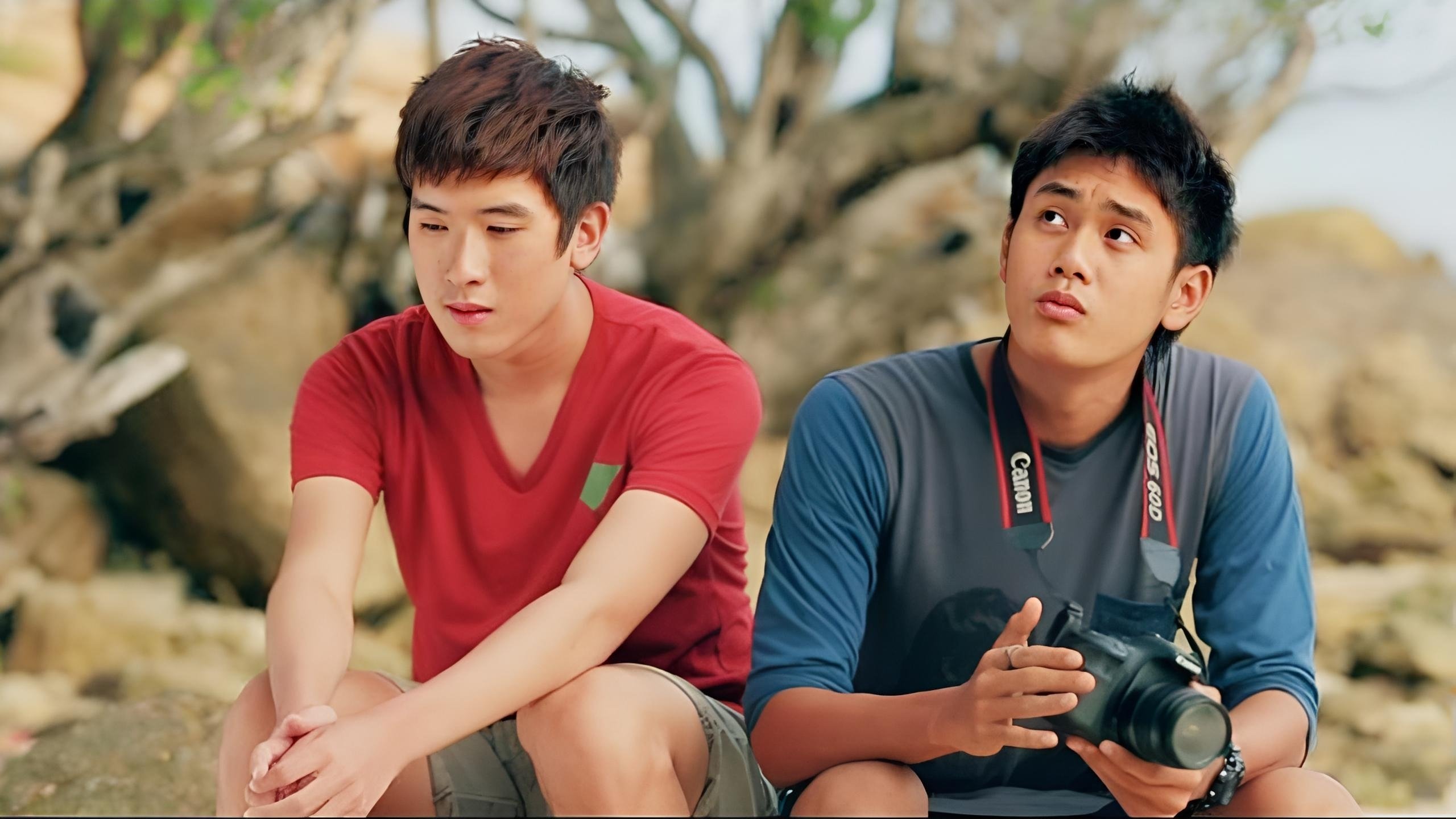 Summer to Winter Background