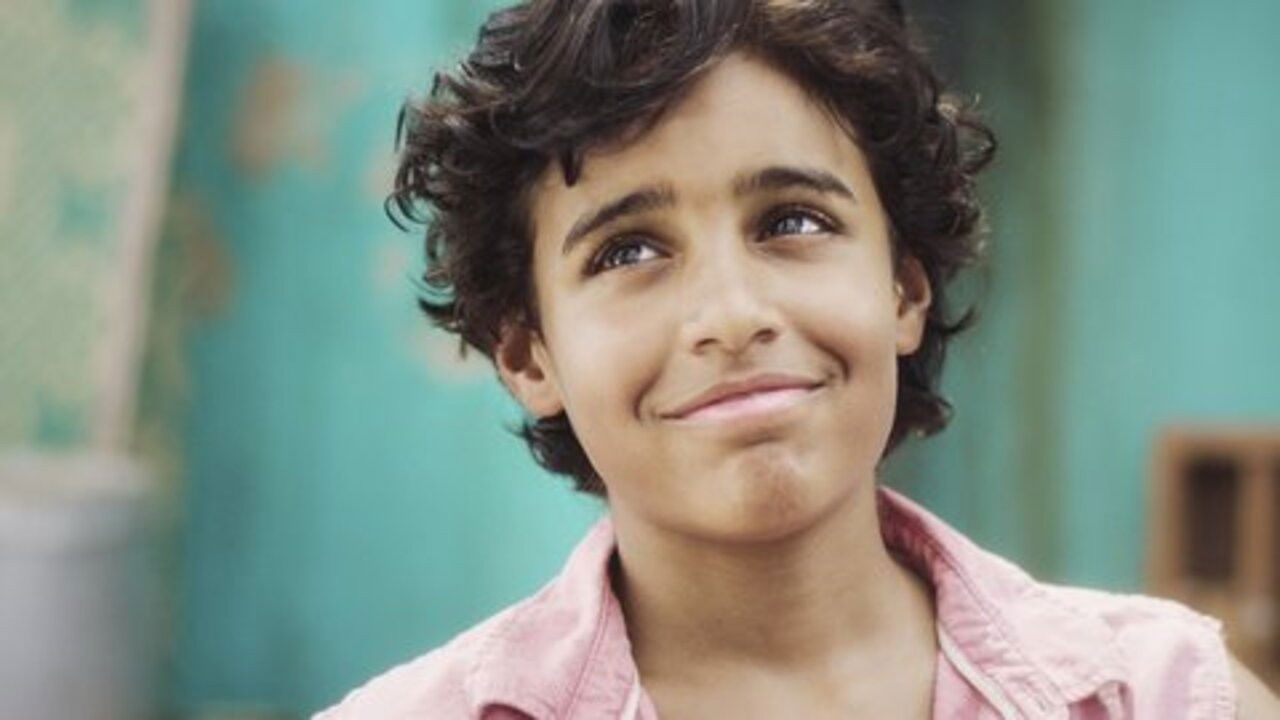 Dreams Are Like Wild Tigers Background