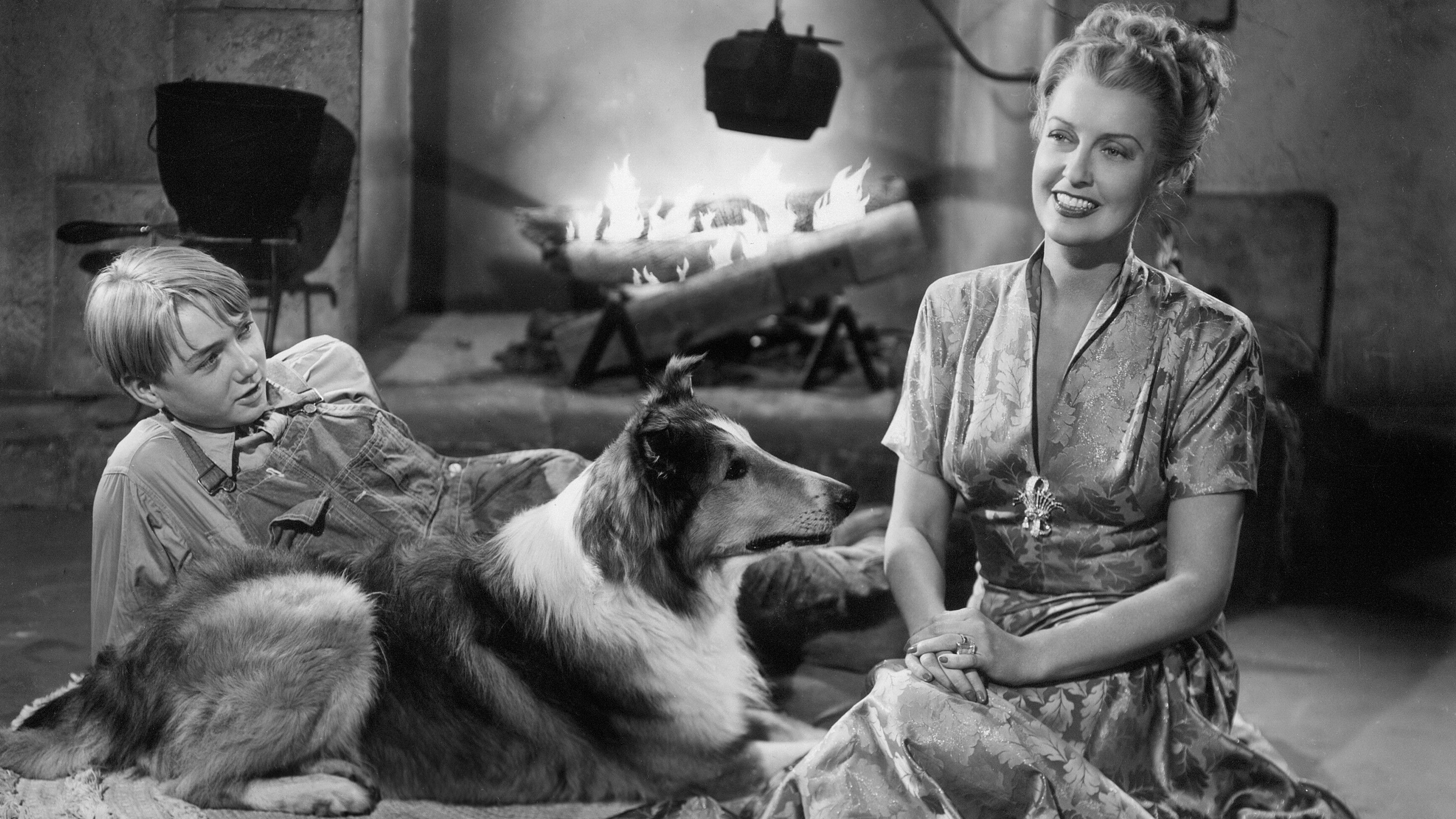 The Sun Comes Up Background