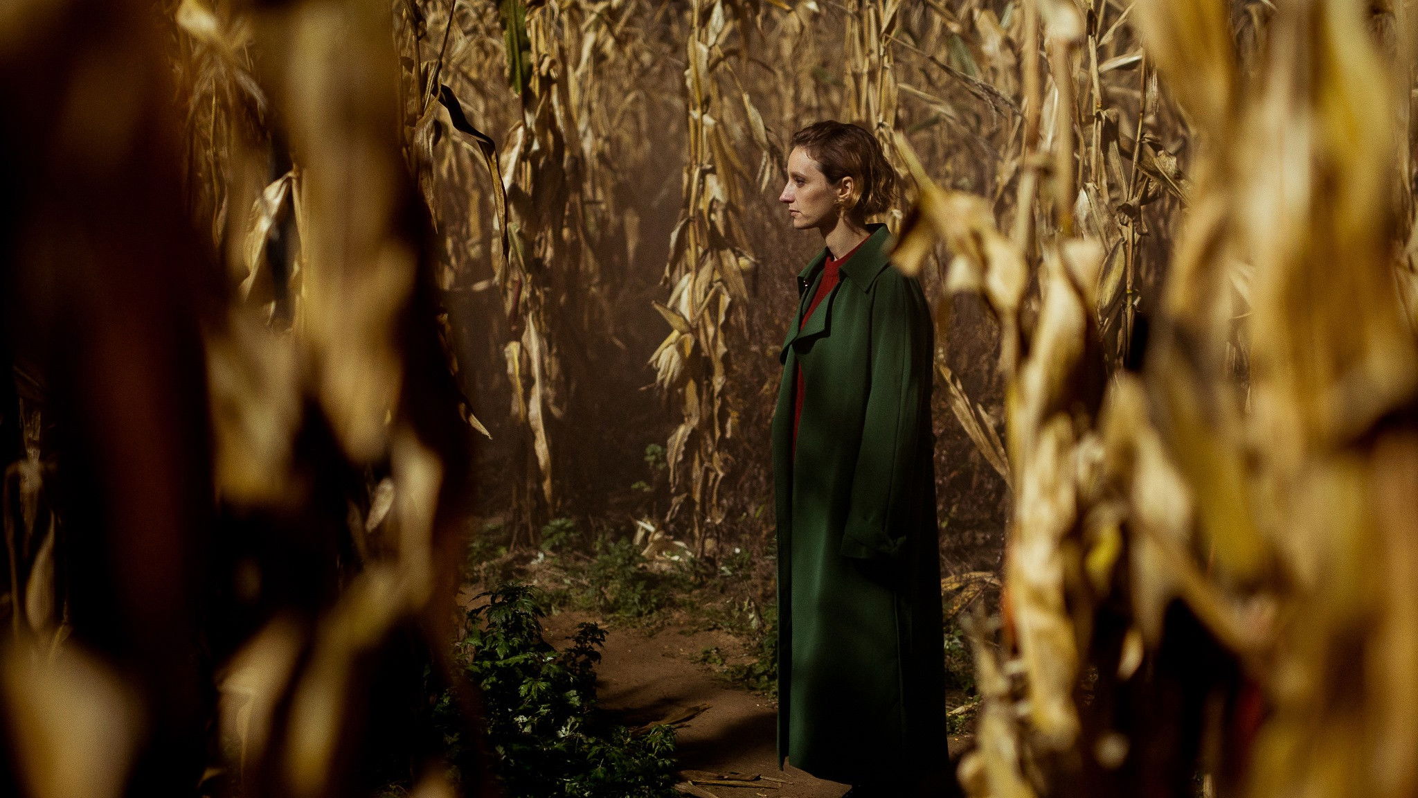 I Am Fine, Thanks Background