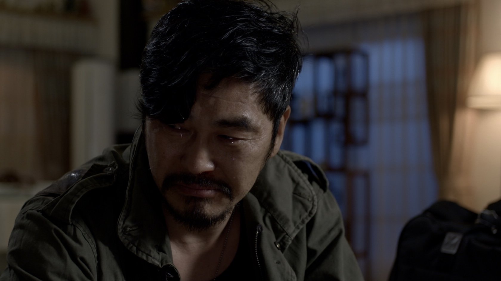 Dogs in the House Background