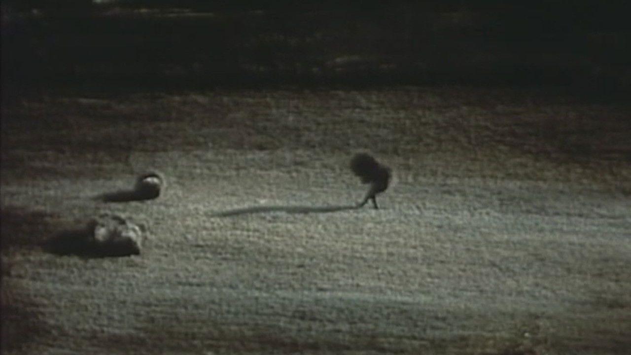 Breakfast Background