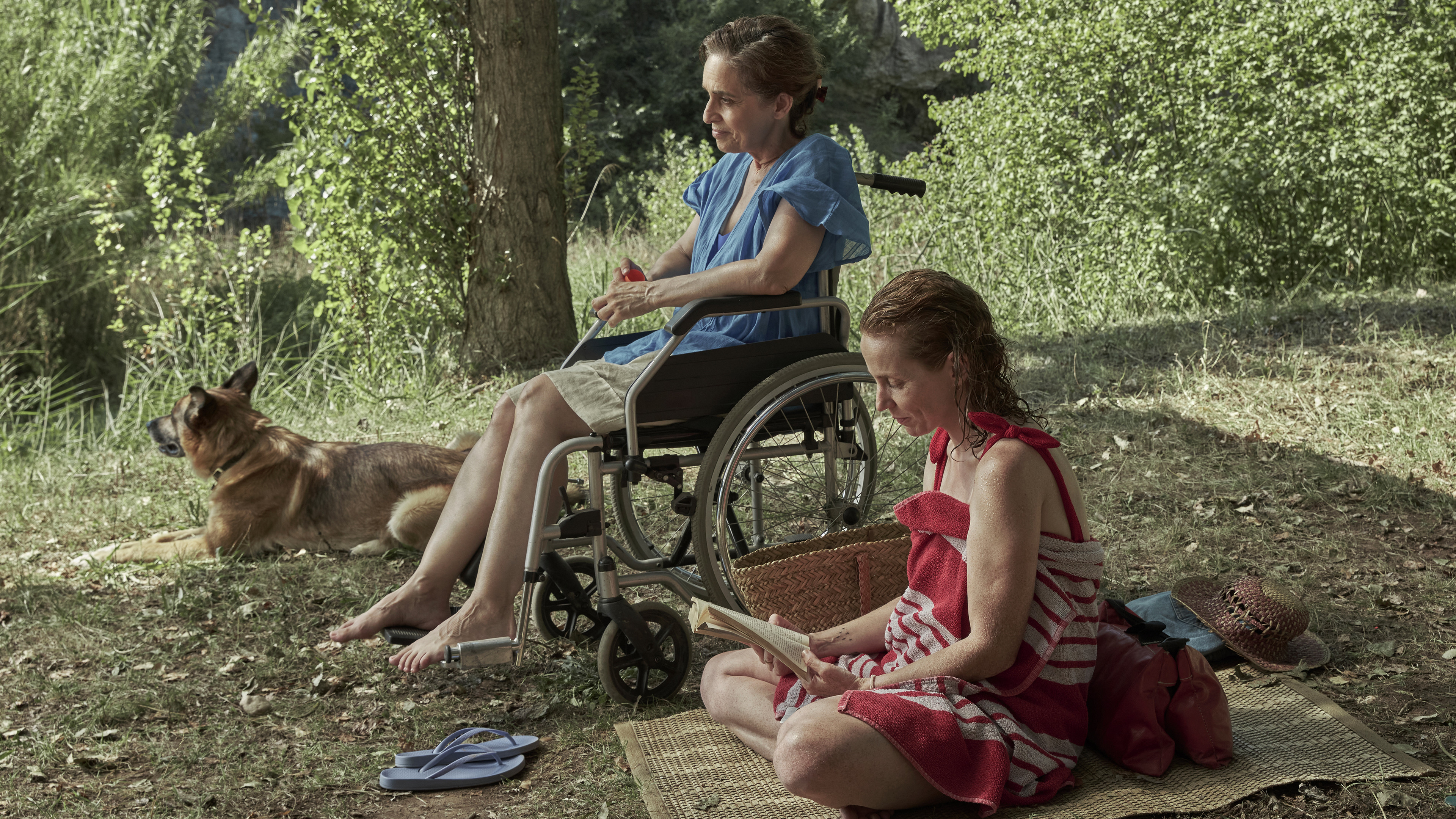 Los Pequeños Amores Background