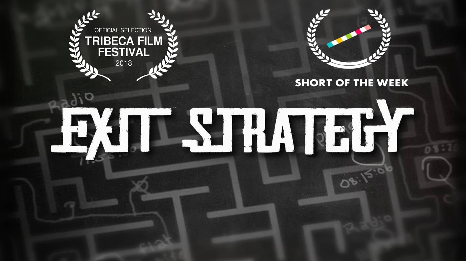 Exit Strategy Background