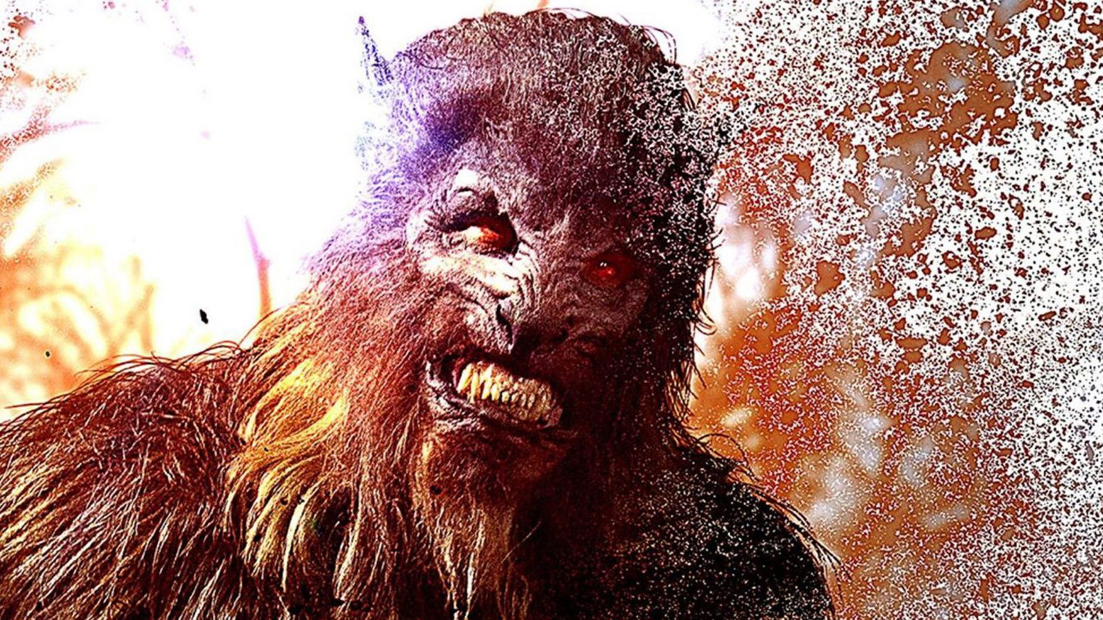 Alpha Wolf Background