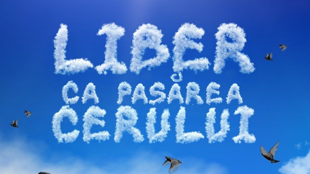 Liber ca pasărea cerului Background