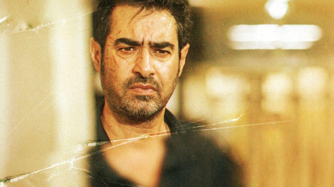 The Lion Skin Background