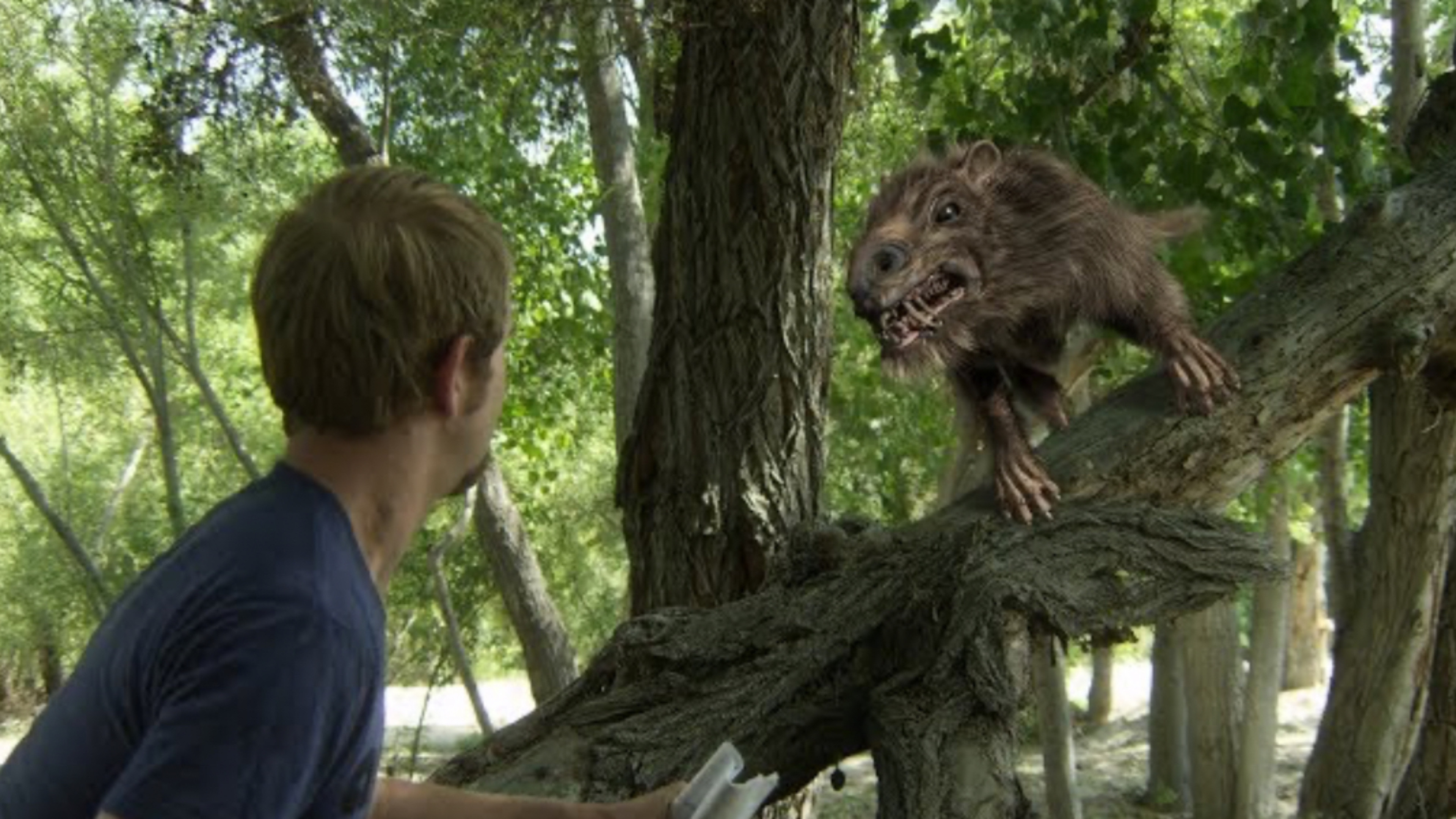 Return of the Killer Shrews Background