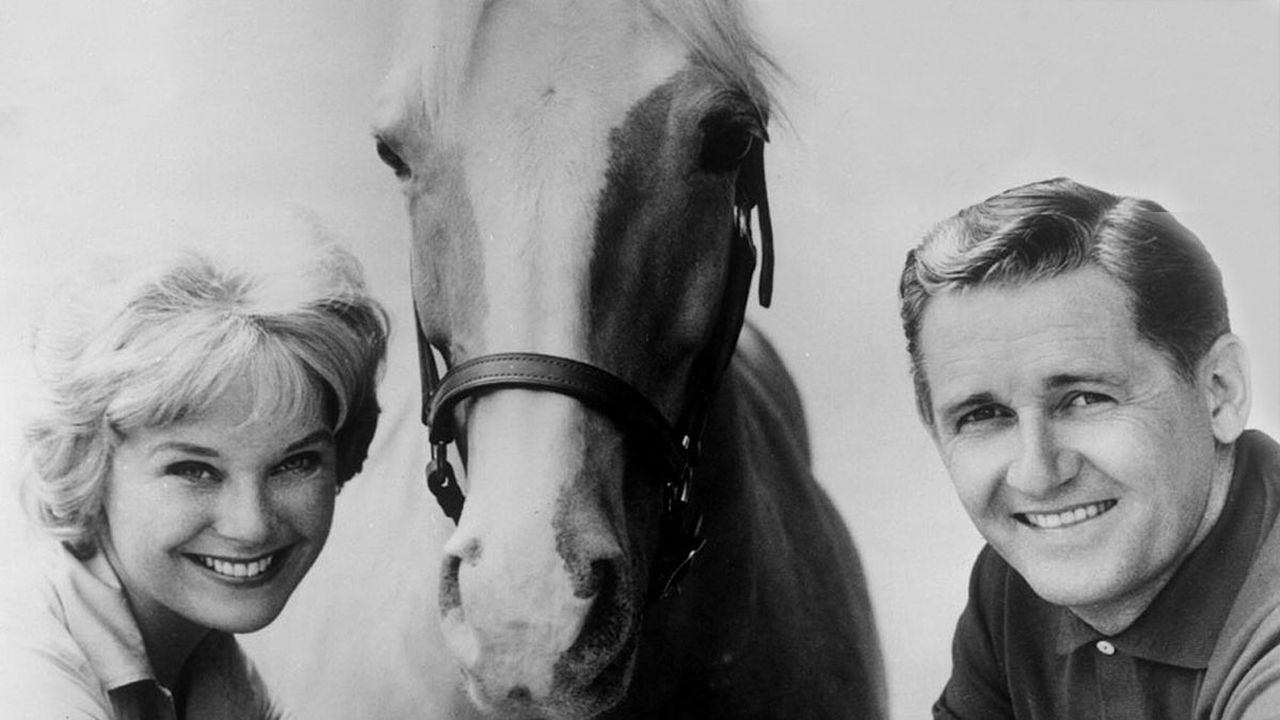 Mister Ed Background