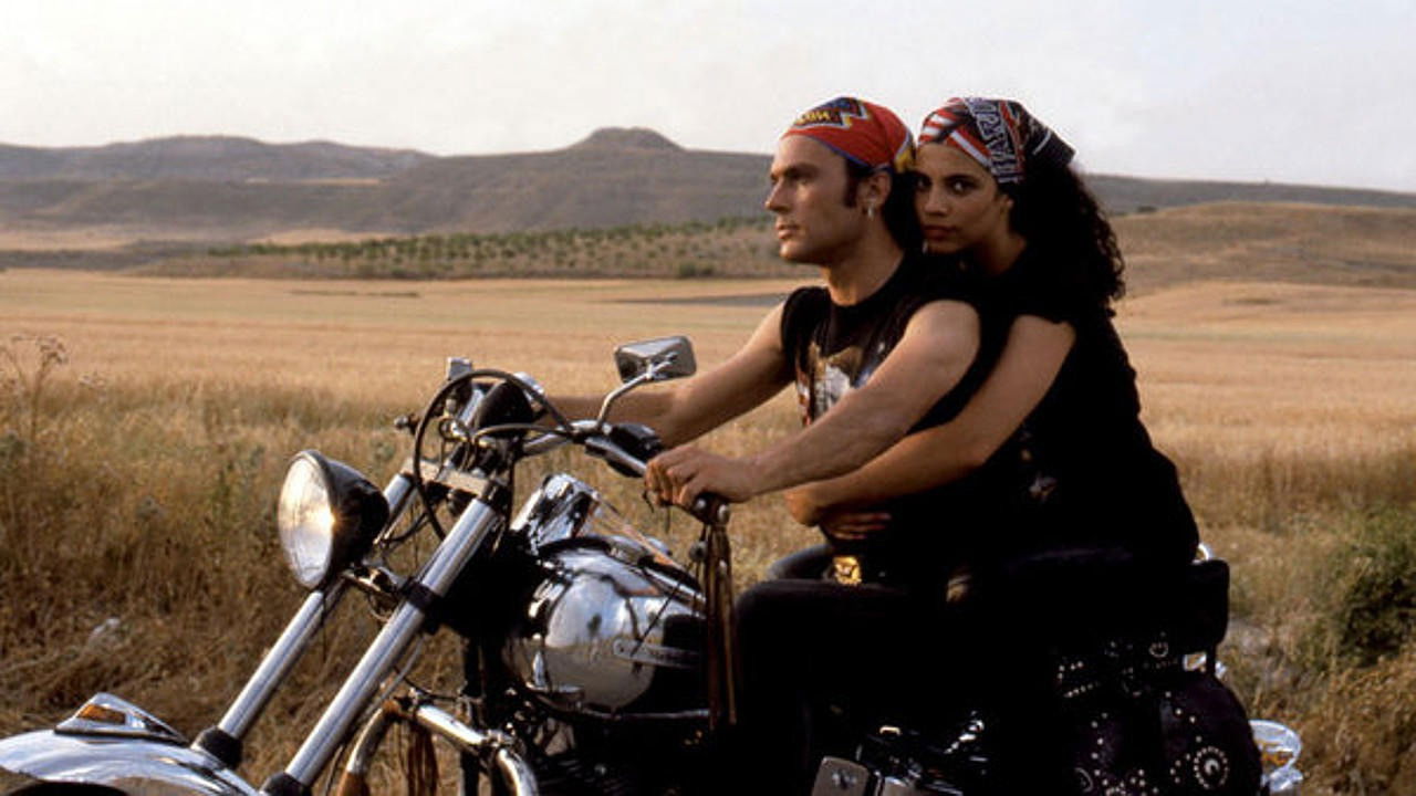 Salsa rosa Background