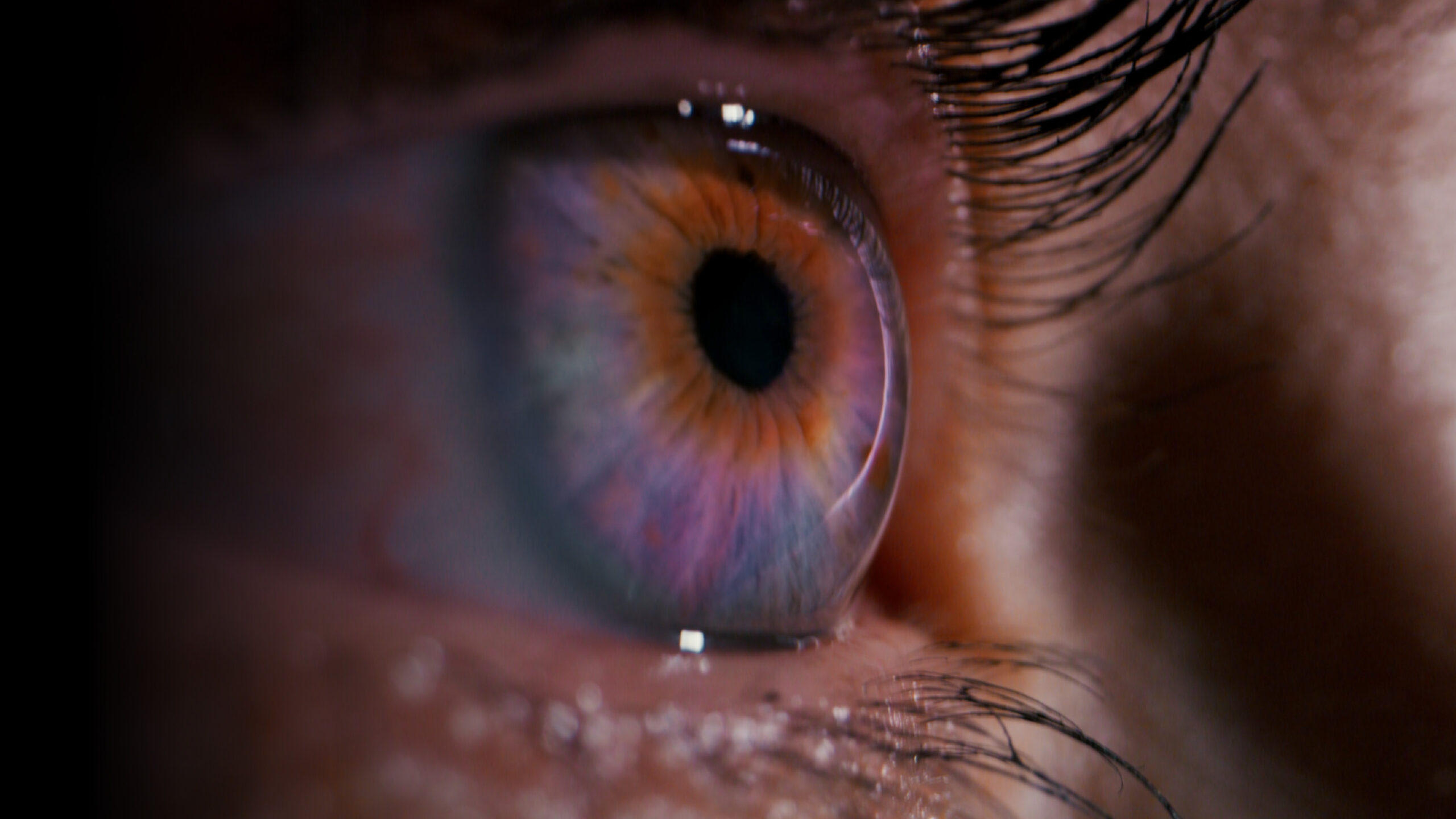 El gran aviso Background