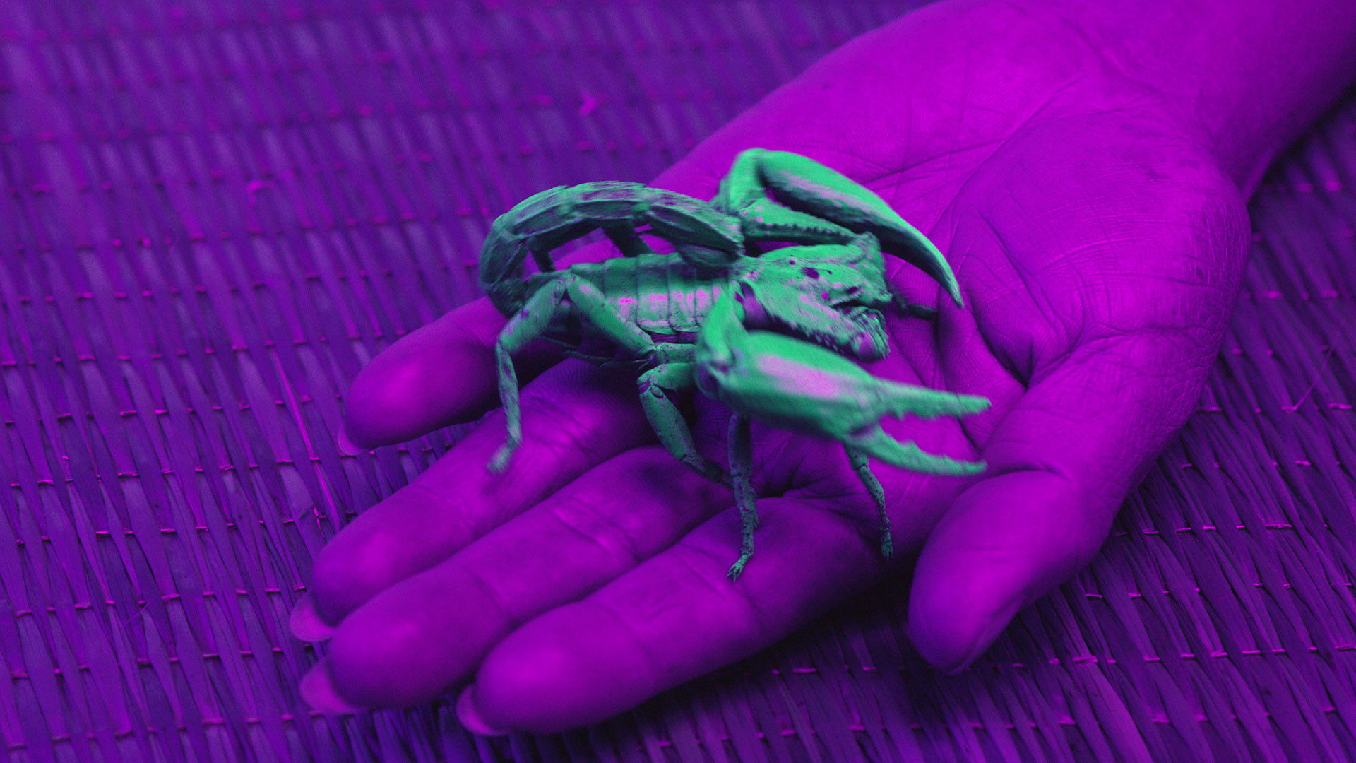 Ultraviolet Background