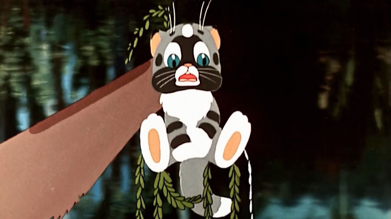 A Naughty Kitten Background