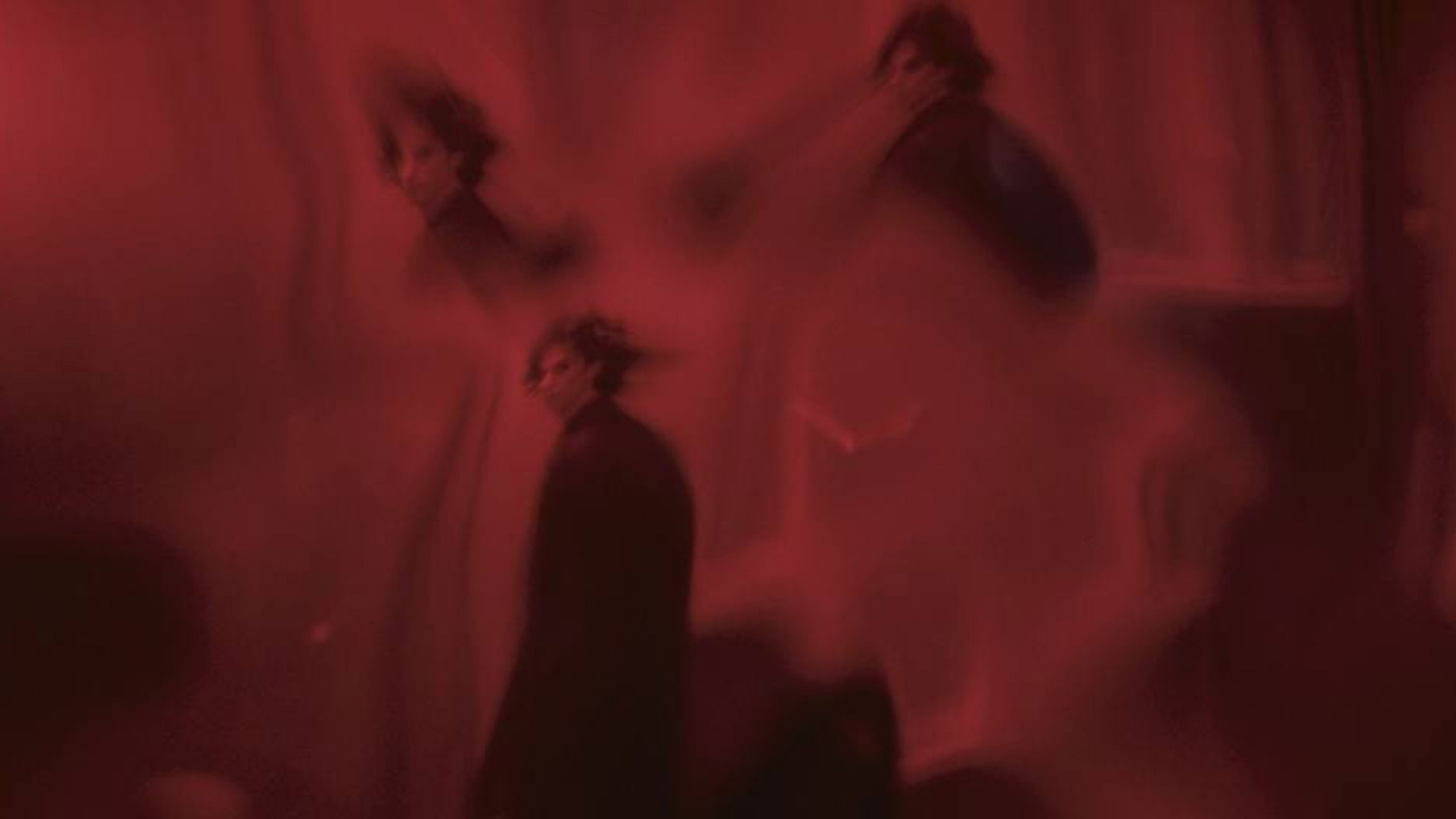 The man who photographed the most beautiful woman in the world Background