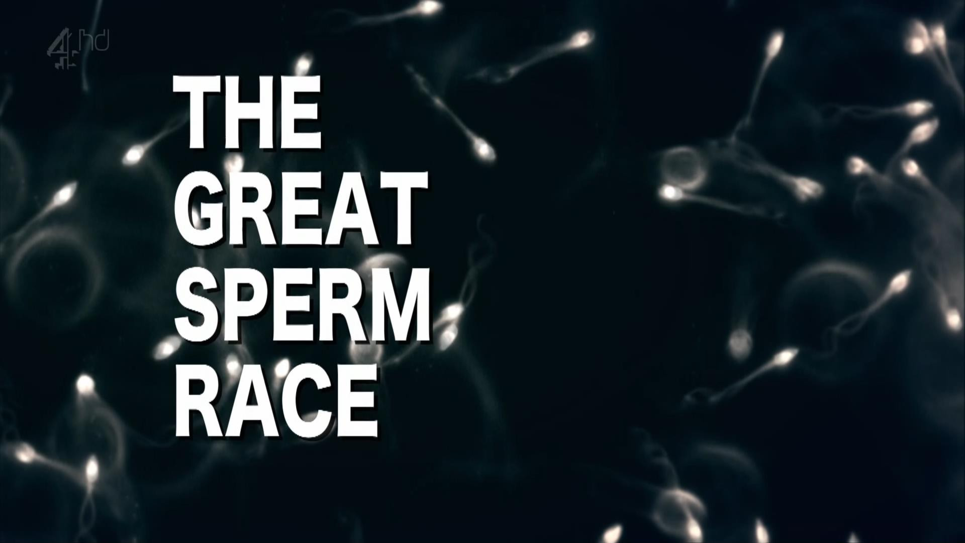 The Great Sperm Race Background