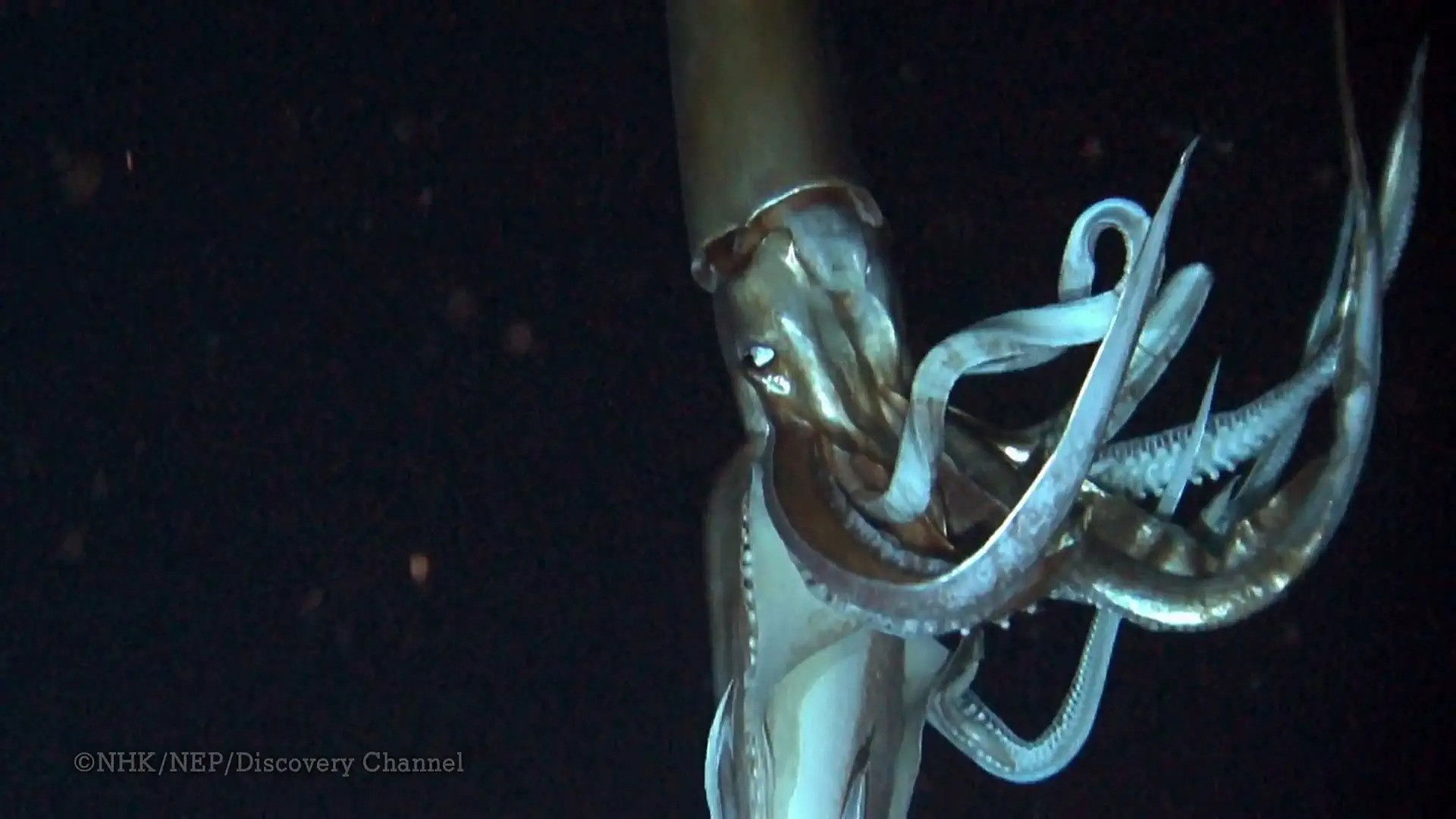 Deep Ocean Background