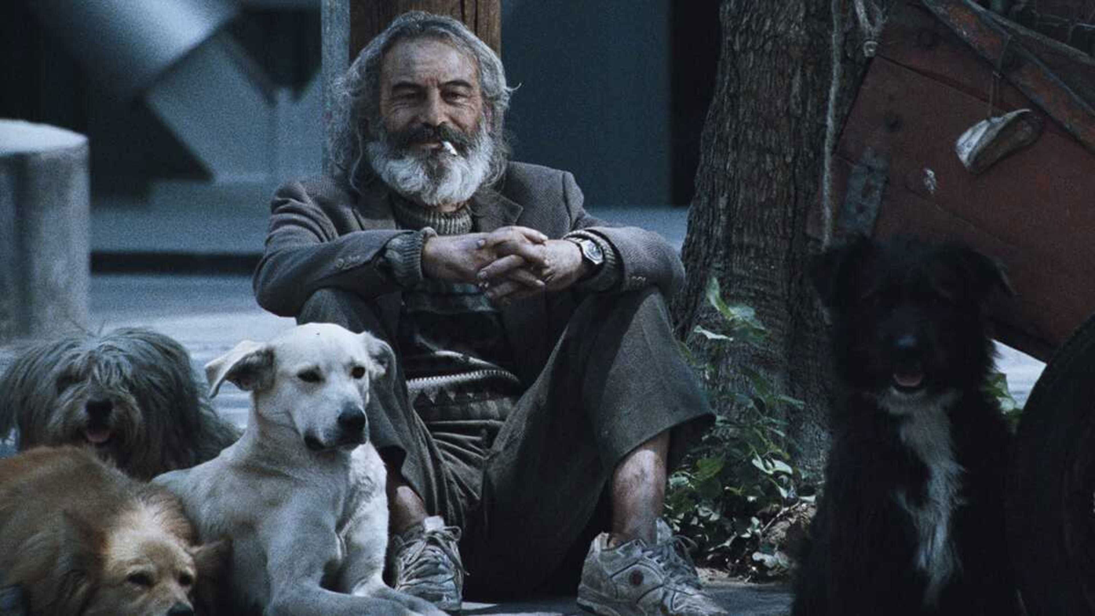 Amores perros Background