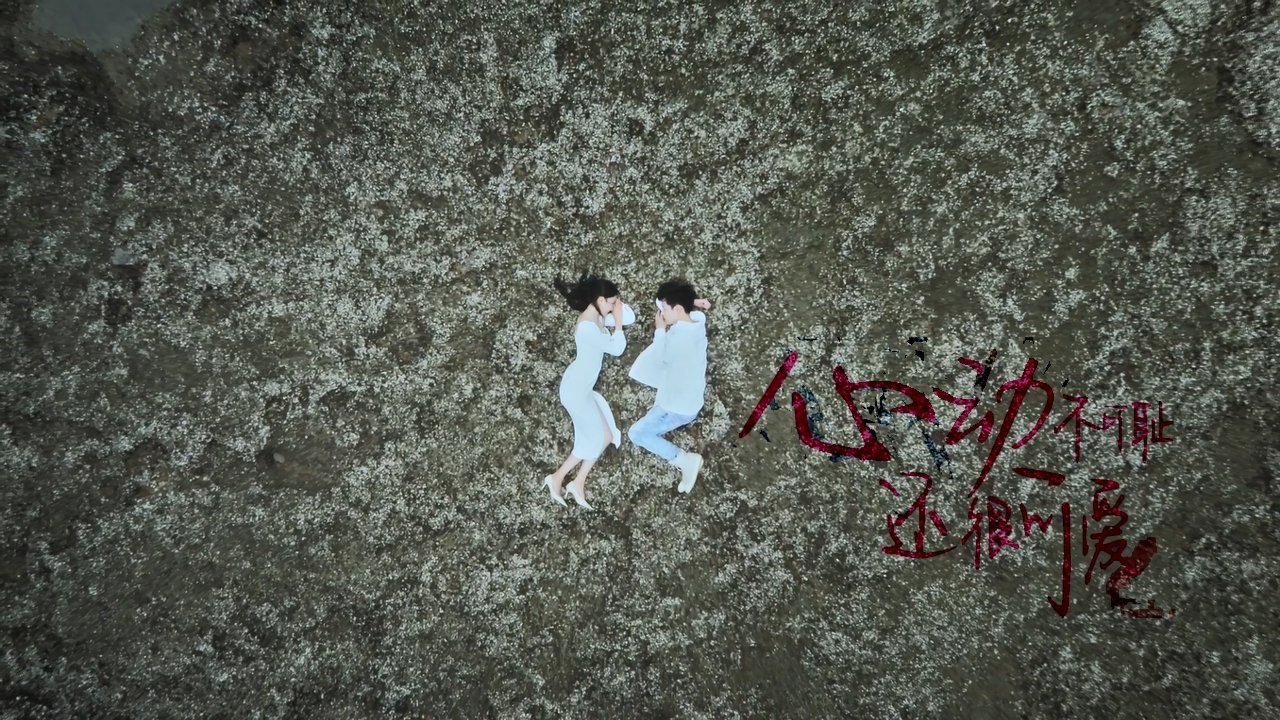 Don't Be Shy Background