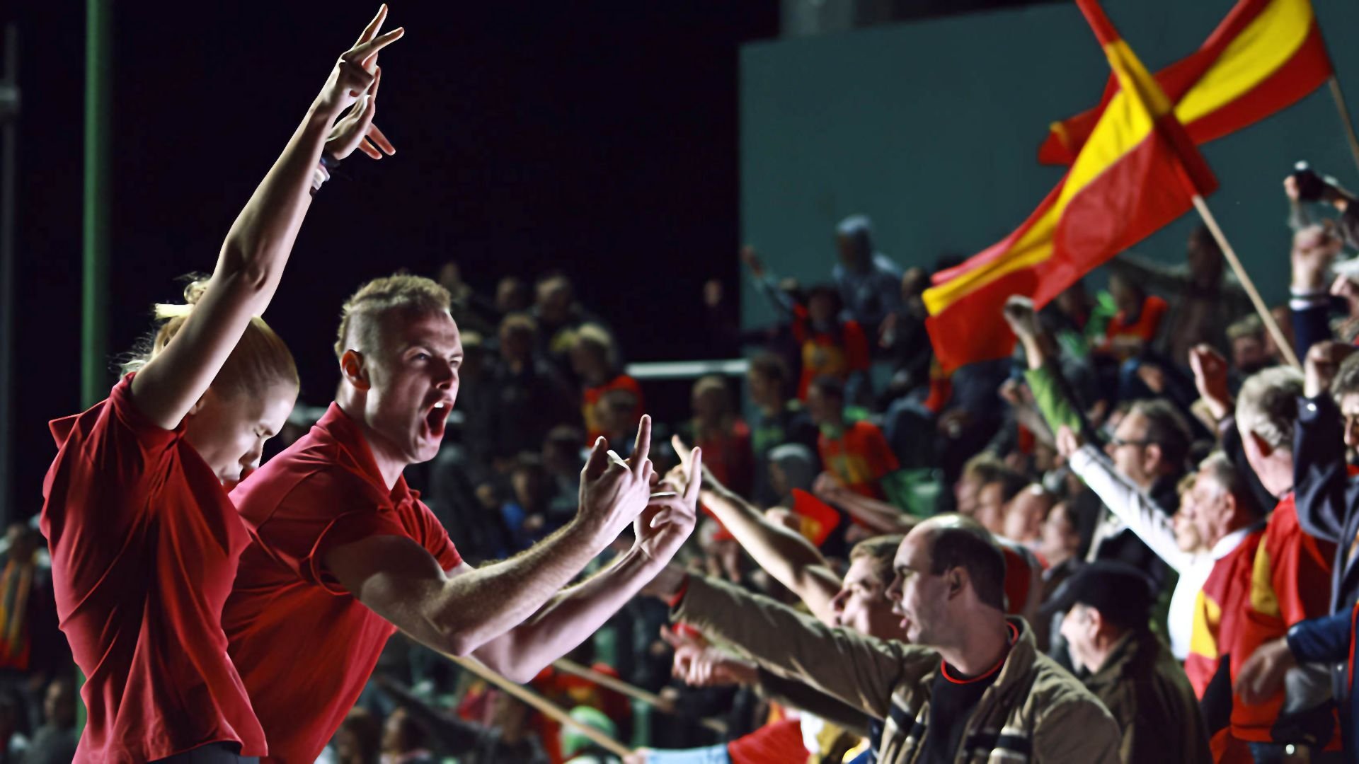 Flying Pigs Background