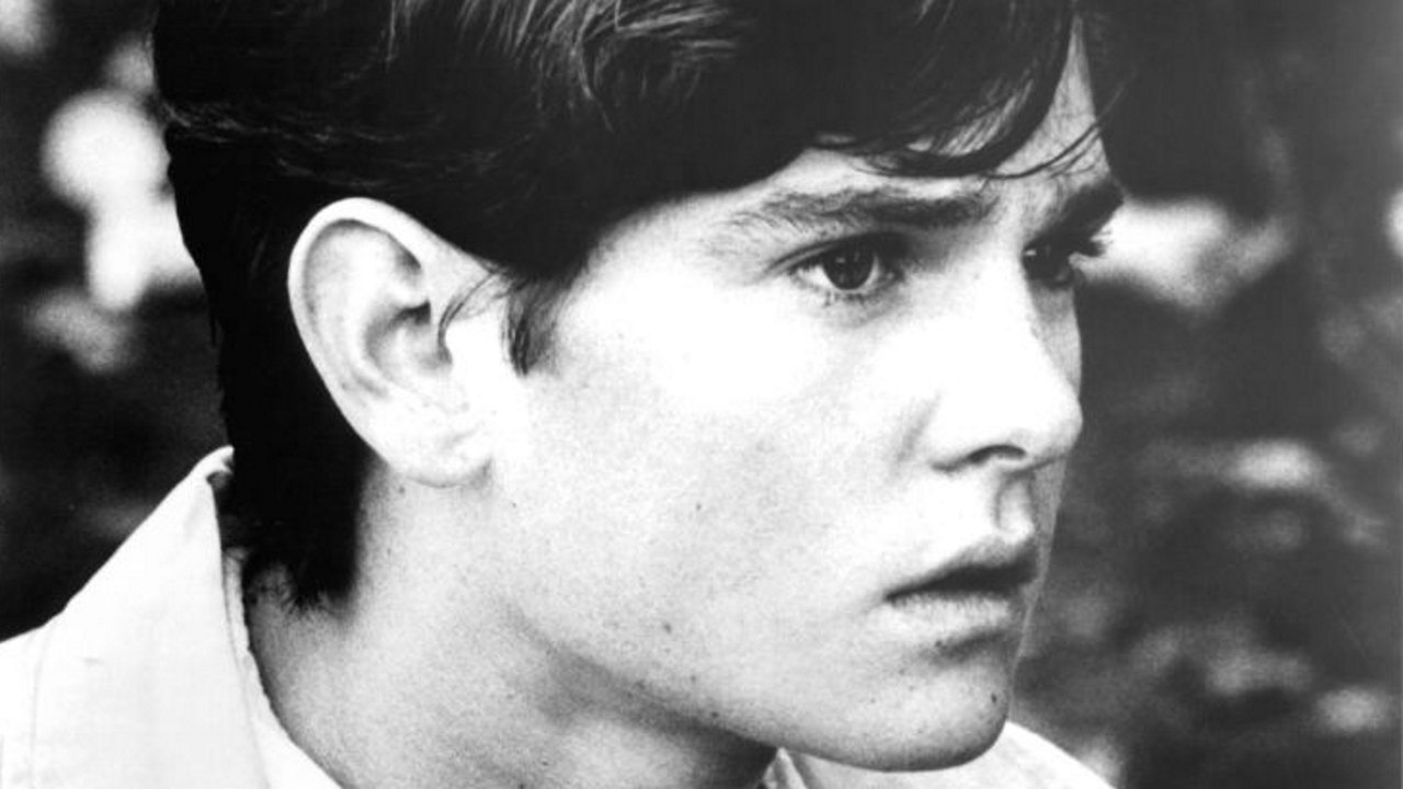 Murder One Background