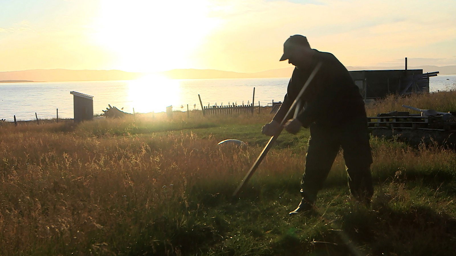 Blå dager og gylne netter Background