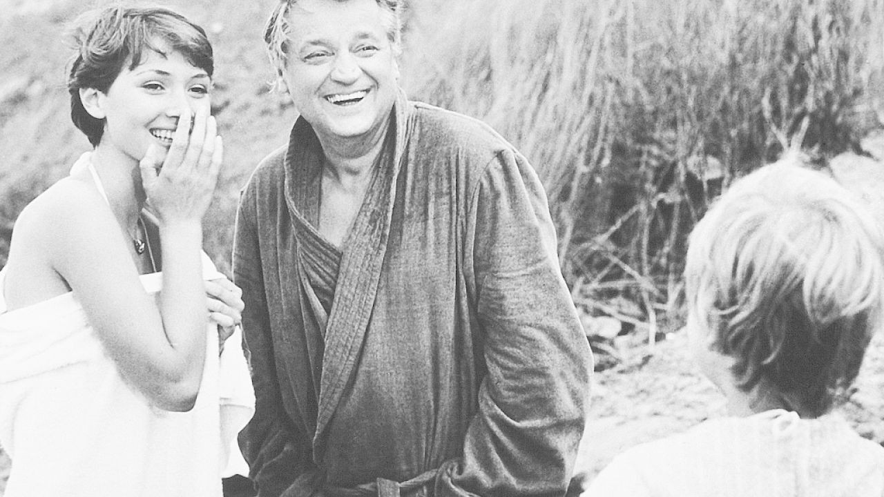 Yellow Is Not Just the Color of the Sun Background