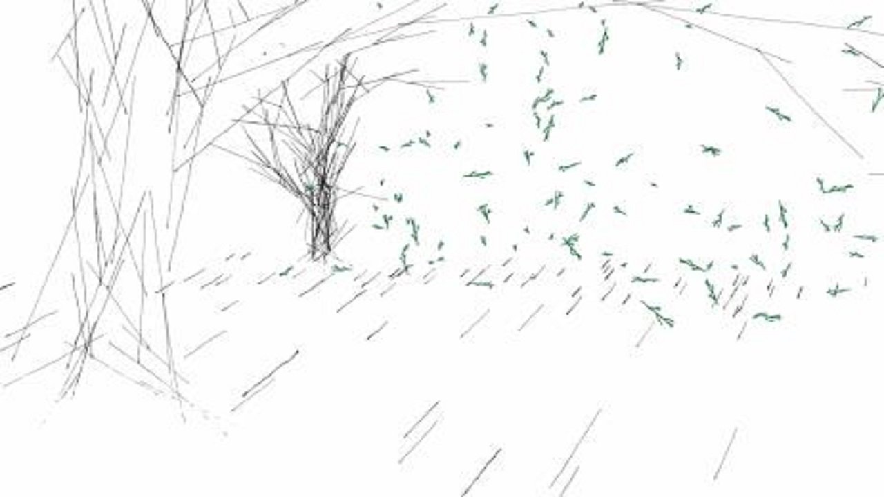 The Train, The Forest Background