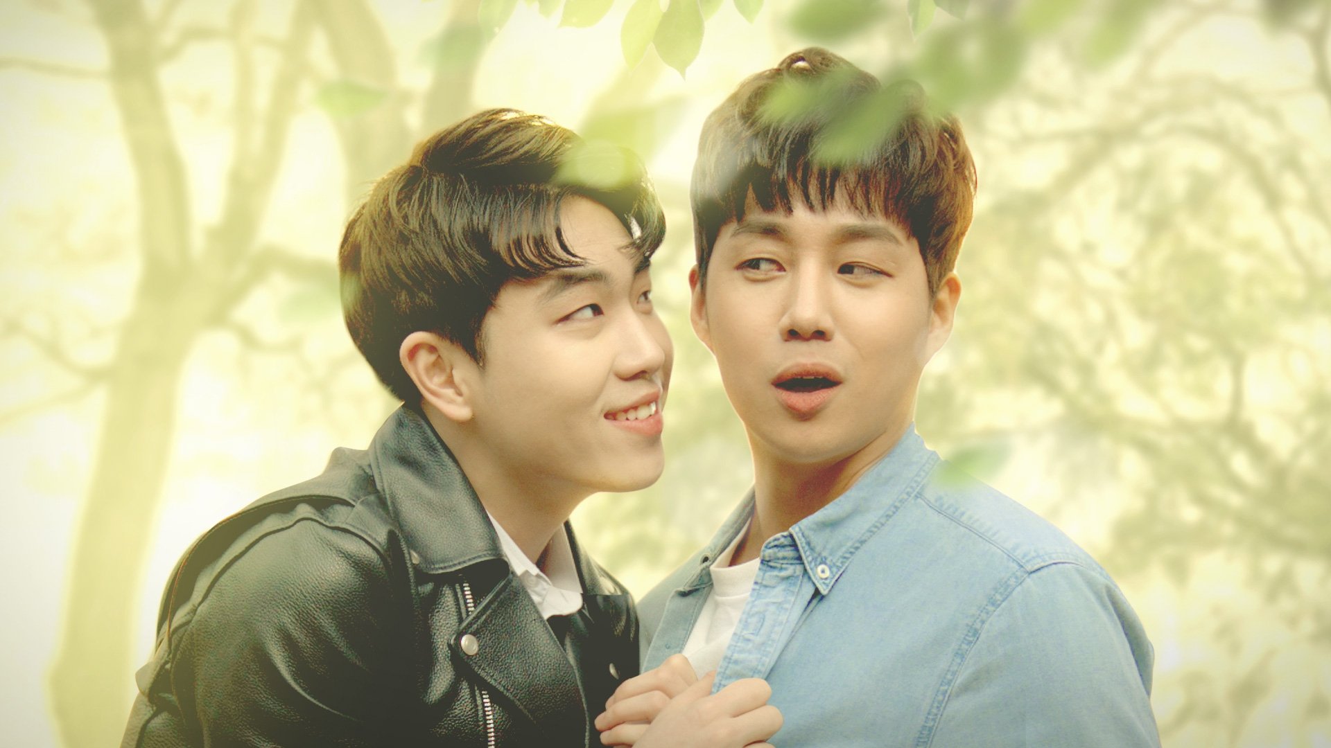 My Pistachio Background