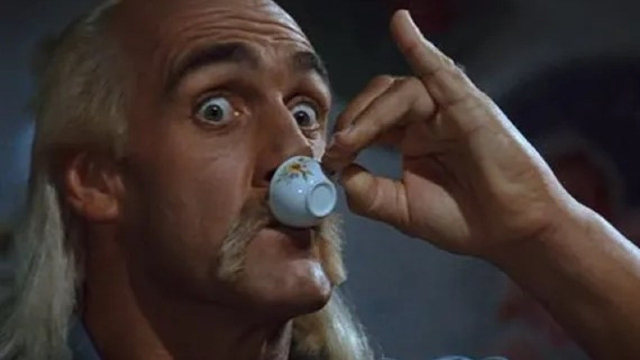 Mr. Nanny Background