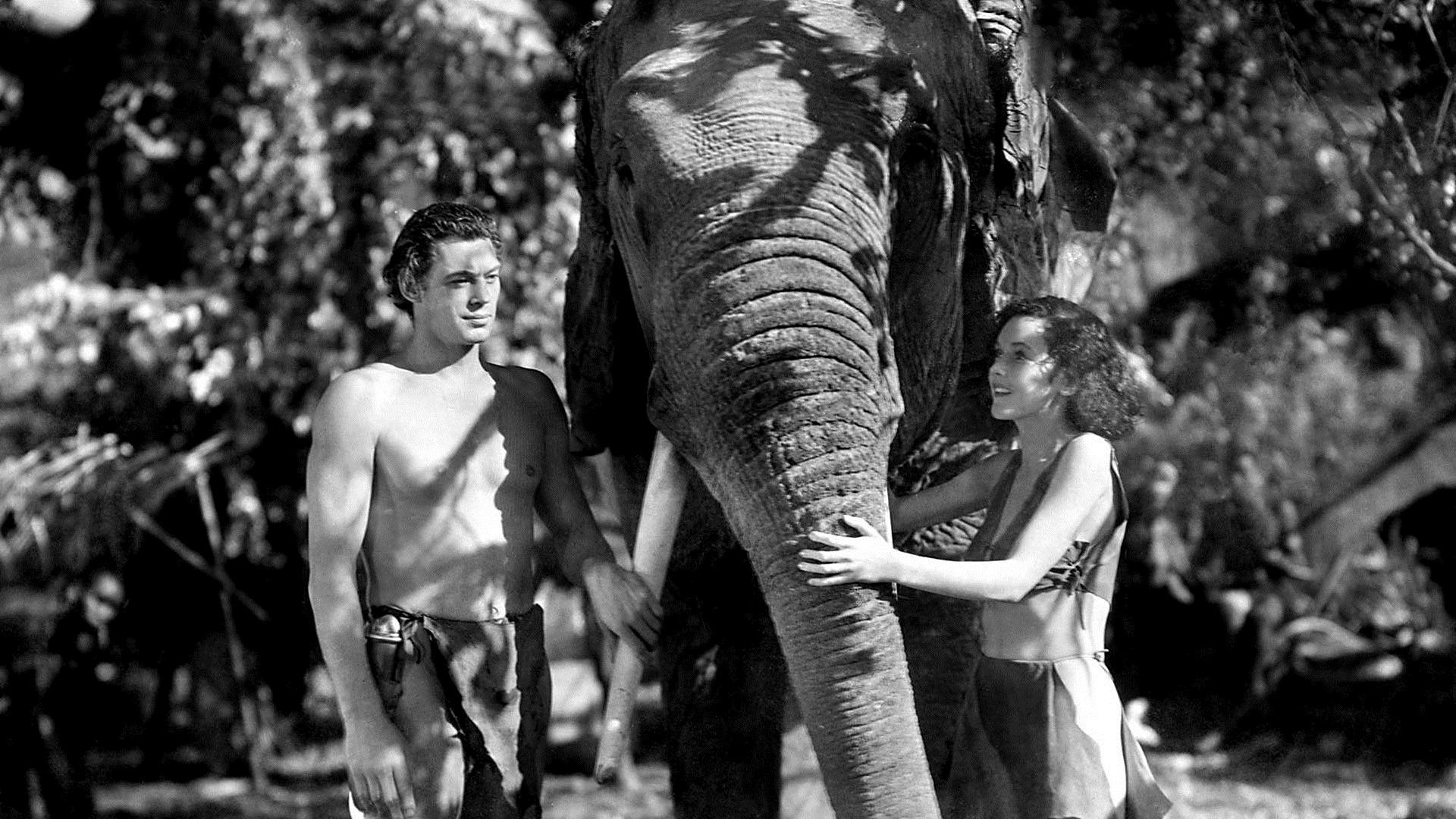 Tarzan and His Mate Background