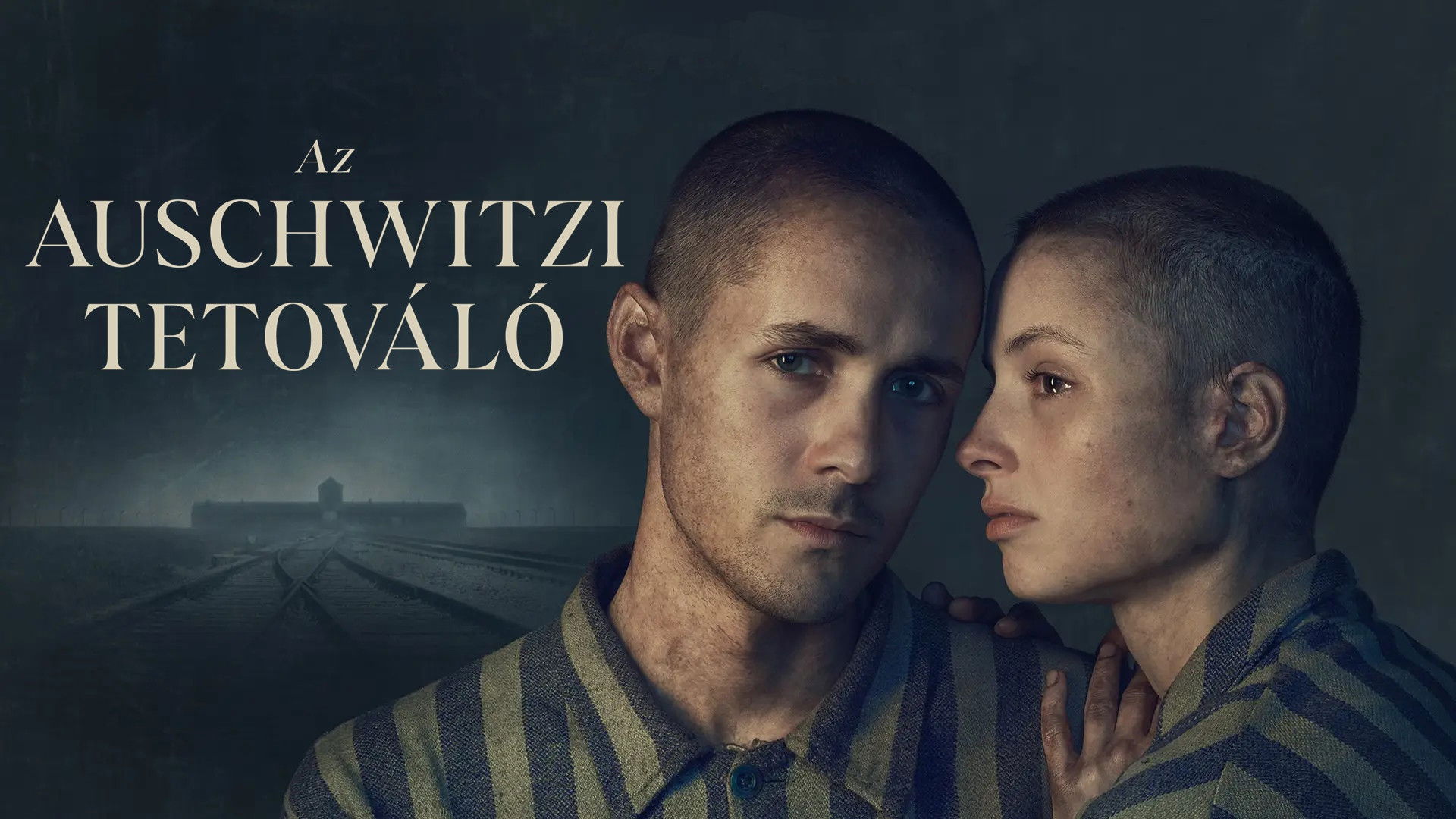 The Tattooist of Auschwitz Background