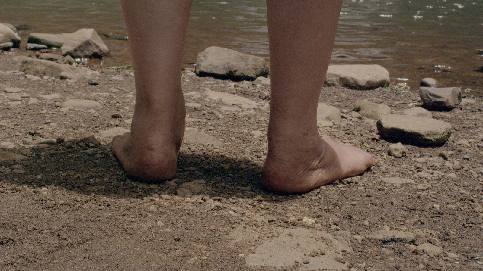 La última tierra Background