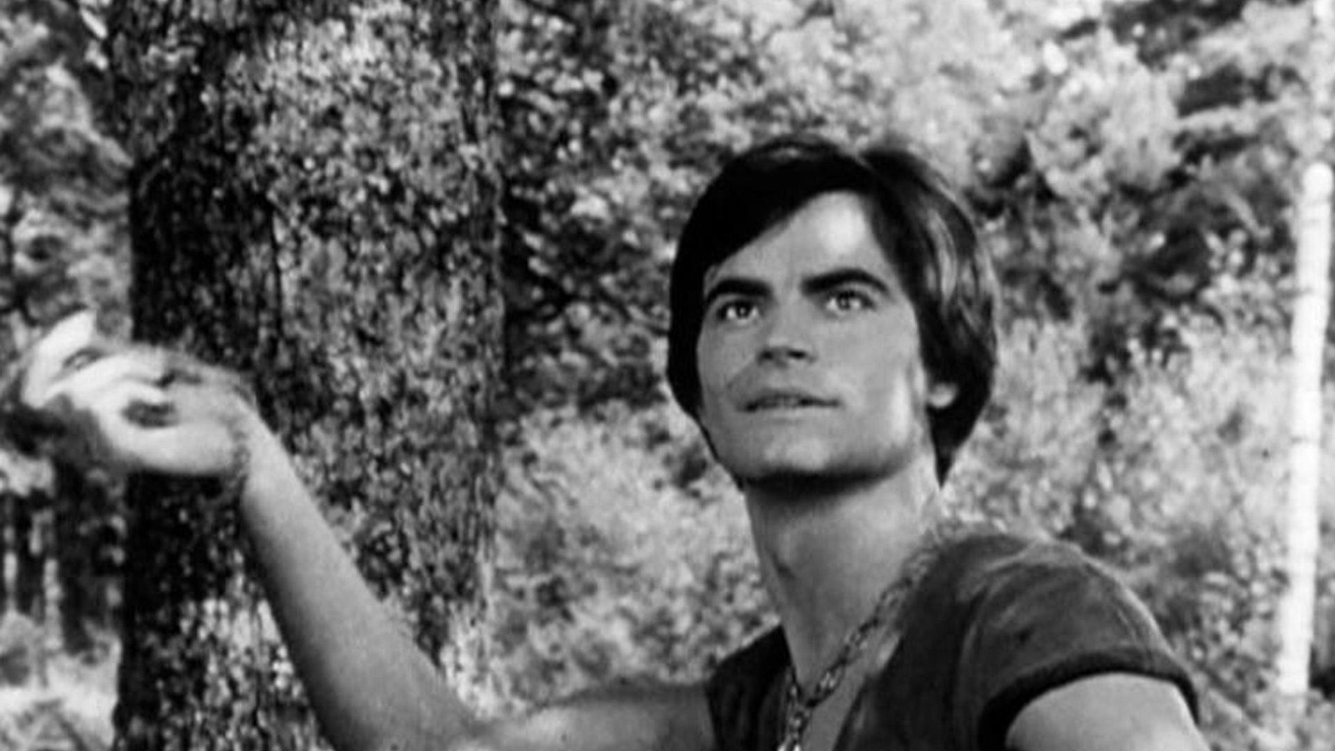 Thierry la Fronde Background