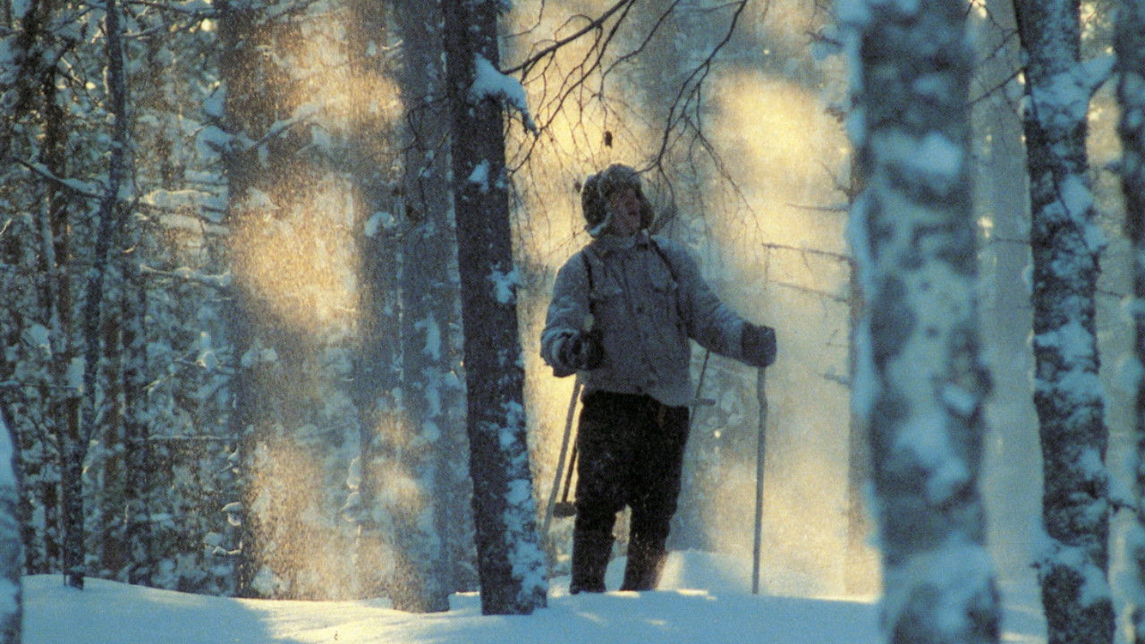 Nuoruuteni savotat Background