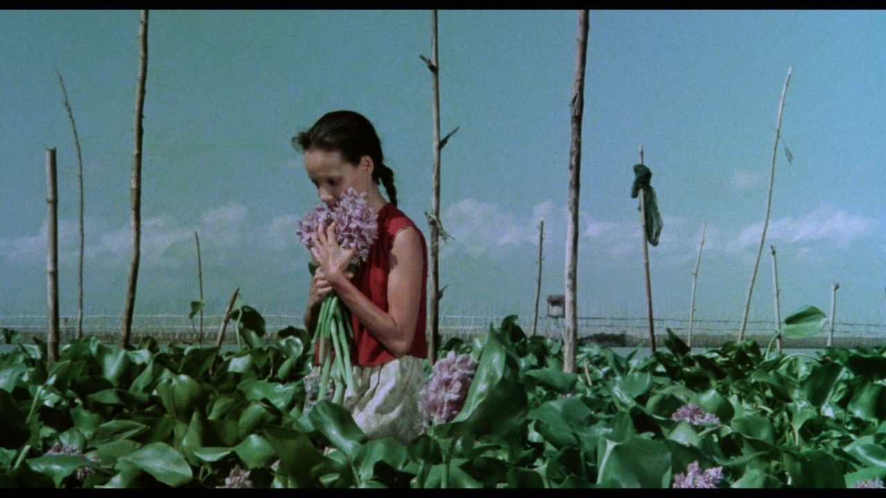 A Speck in the Water Background