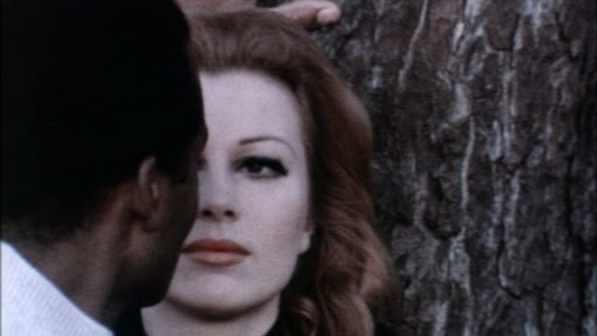 Attraction Background