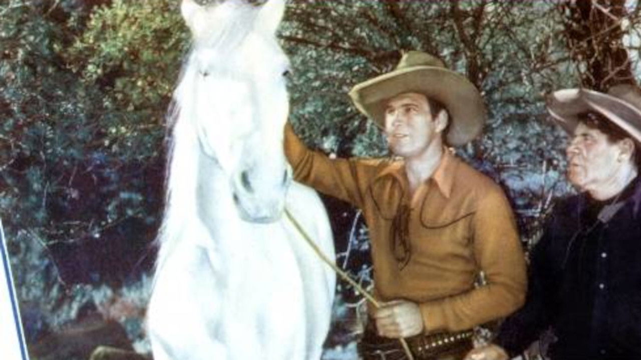 Coyote Trails Background