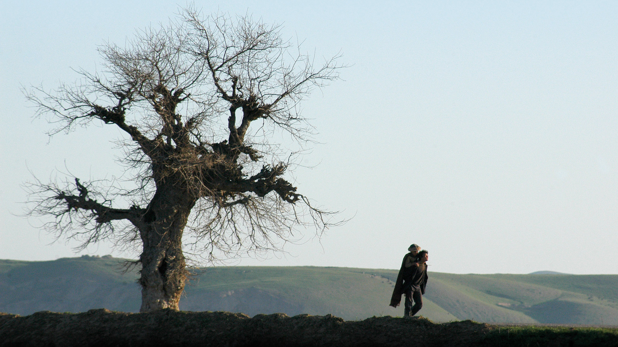 Two-Legged Horse Background