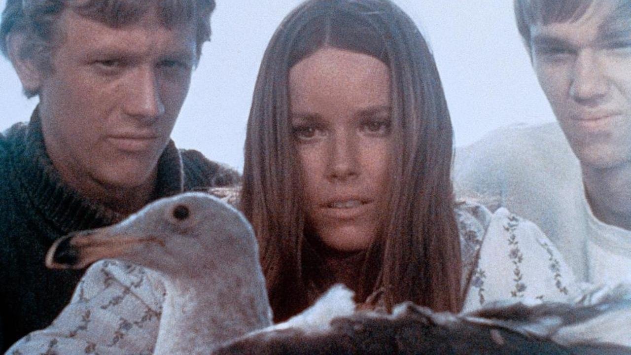 Last Summer Background