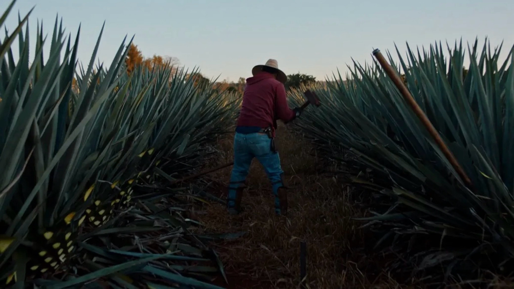 Dos Estaciones Background