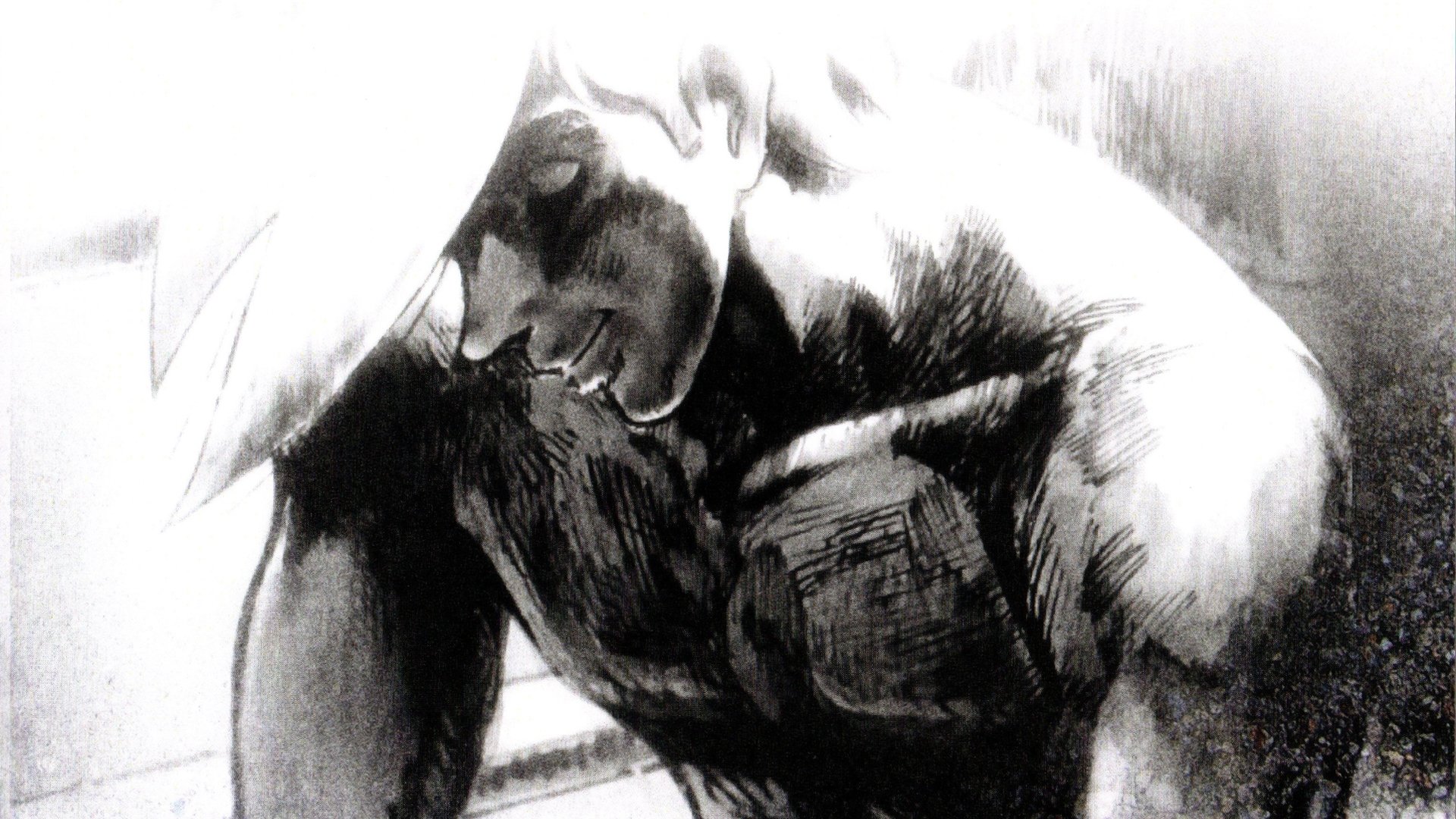 Tomorrow's Joe 2: The Movie Background