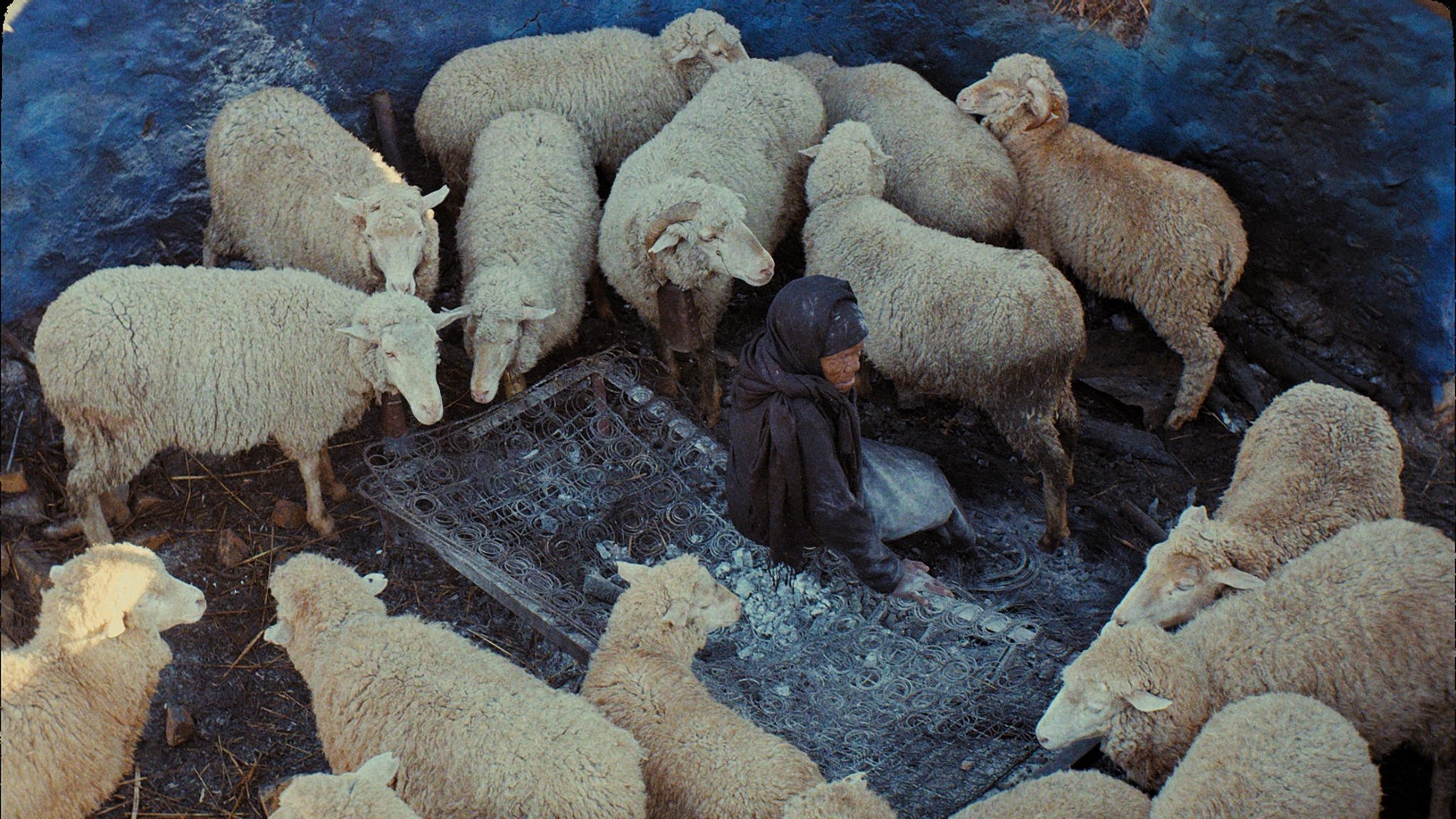 This Is Not a Burial, It's a Resurrection Background