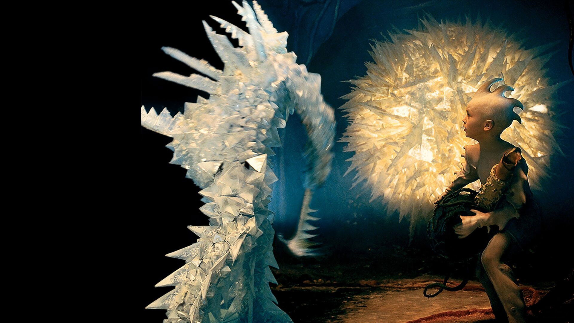 Chasing the Kidneystone Background