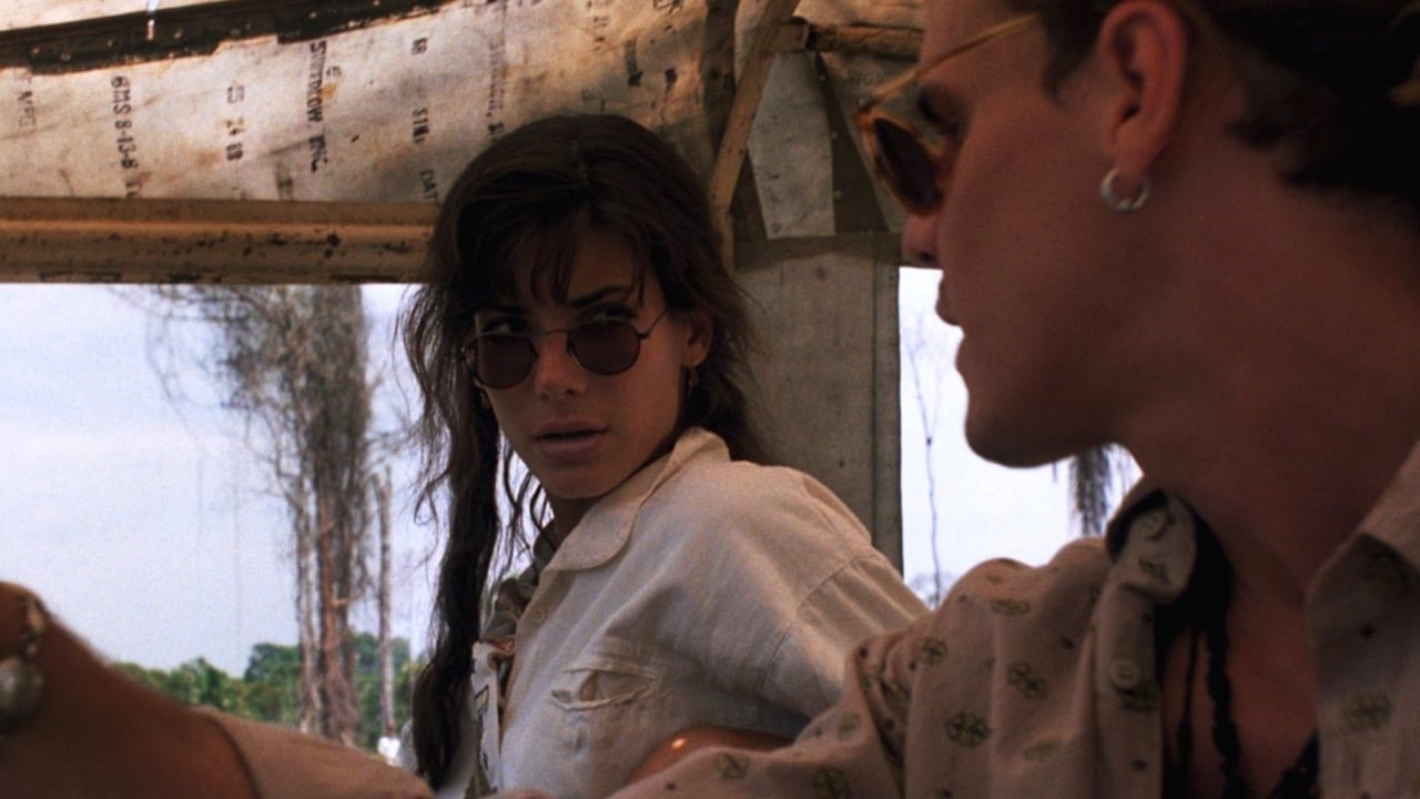 Fire on the Amazon Background