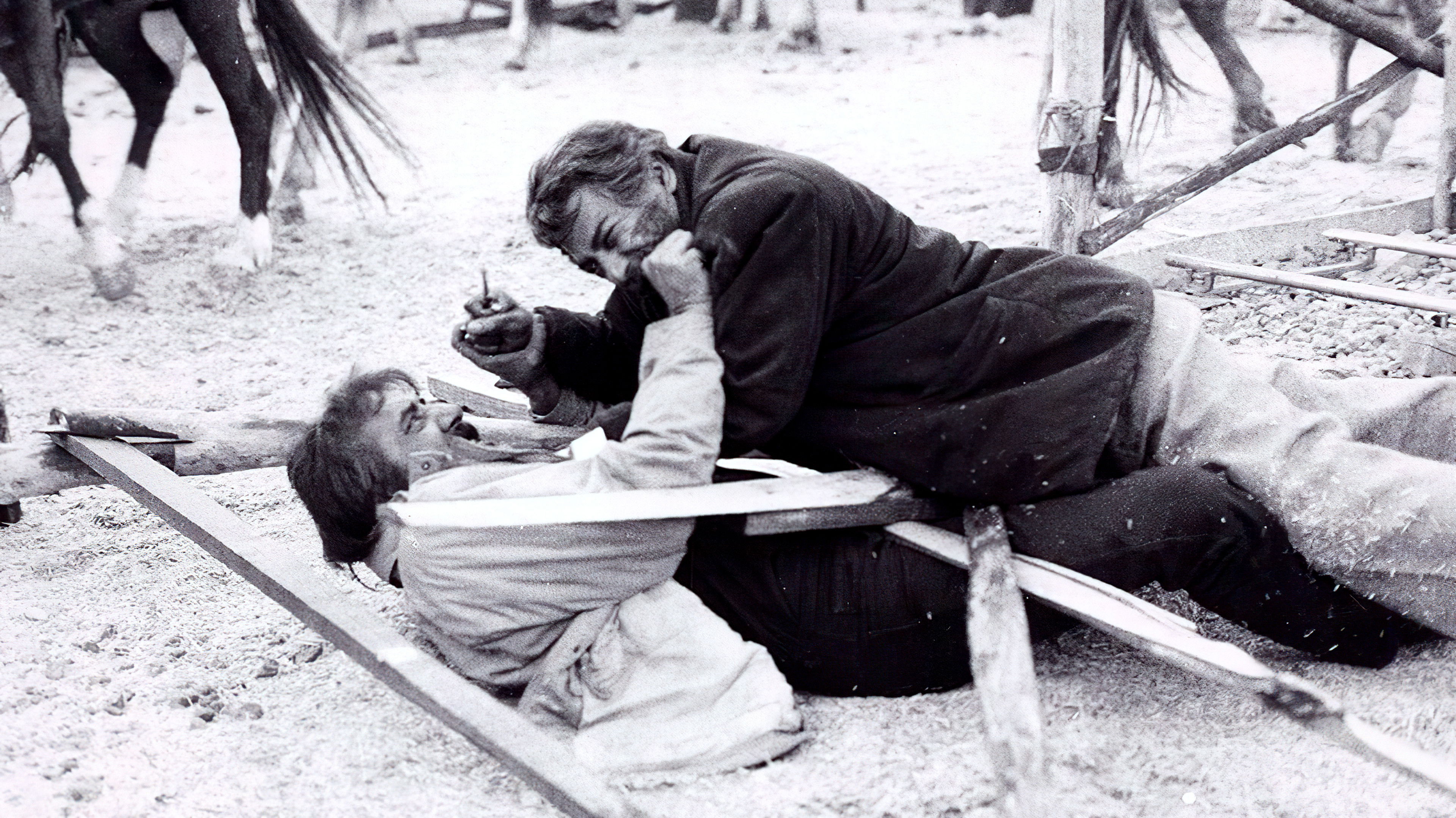 The Wolf's Trail Background