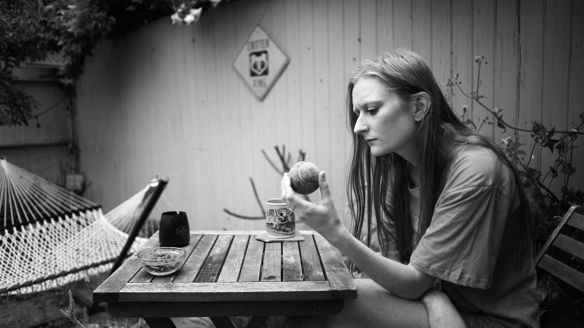 Lost Dogs Background